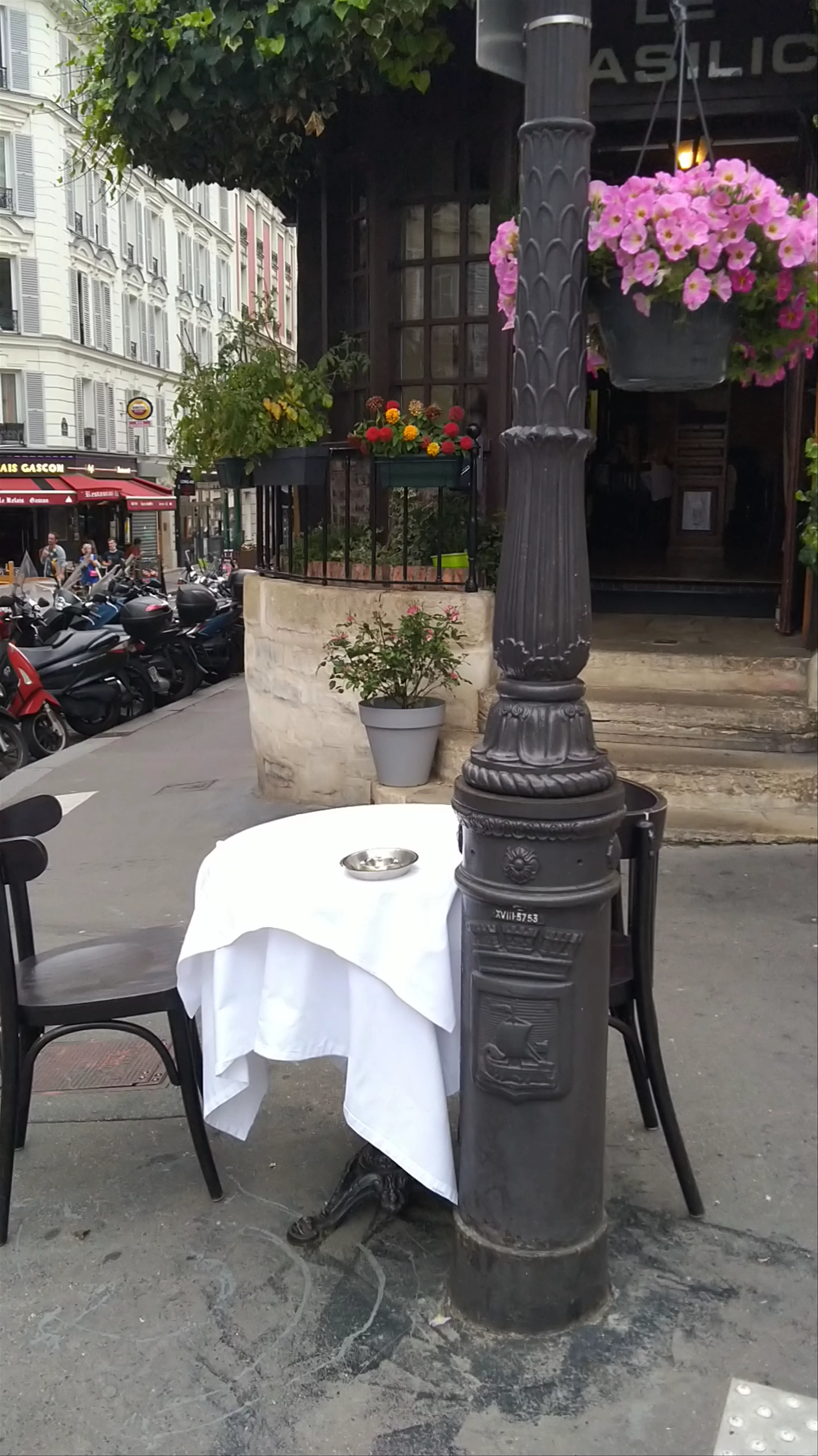 Le Basilic