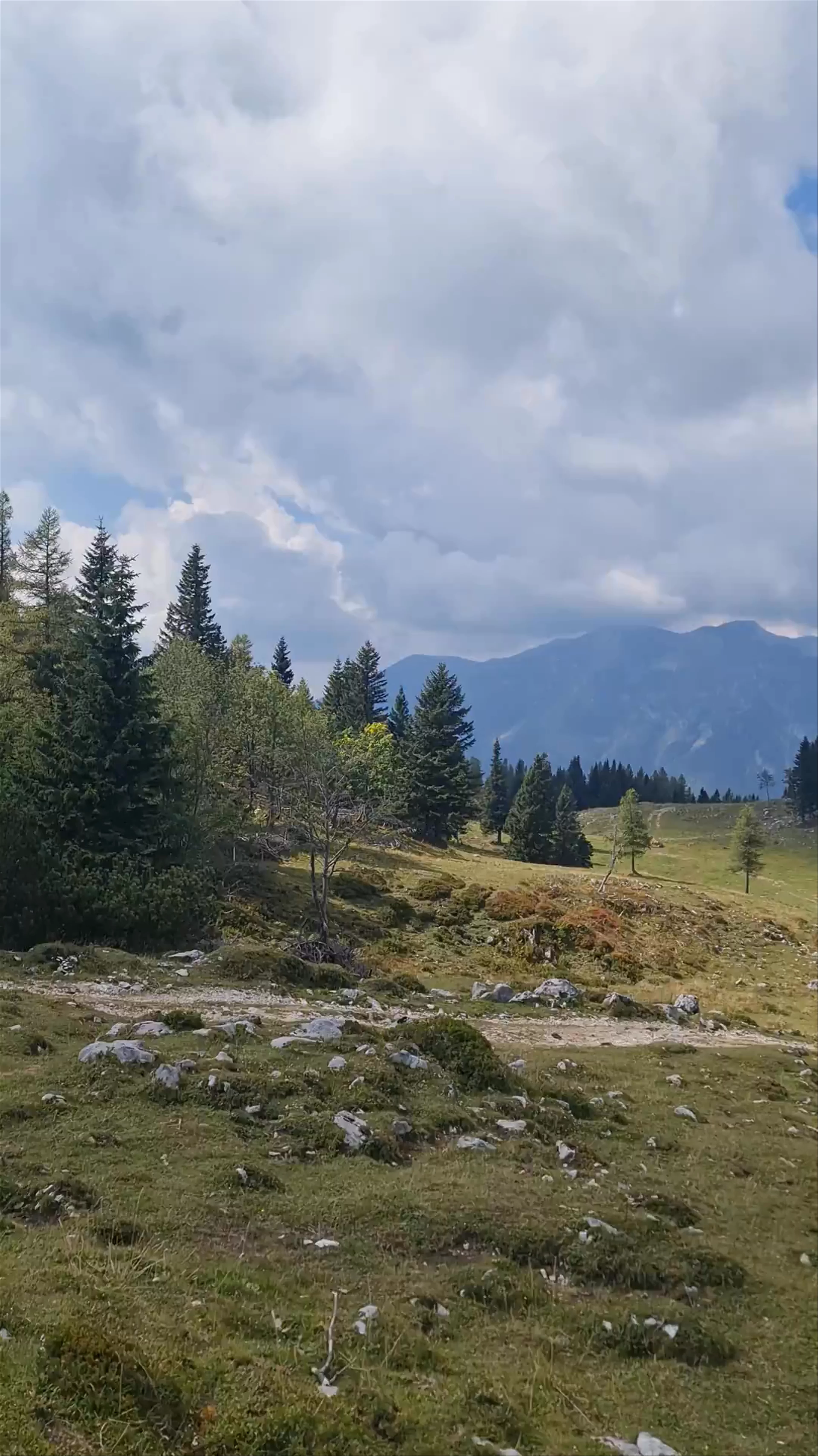 Kamniška Bistrica river source