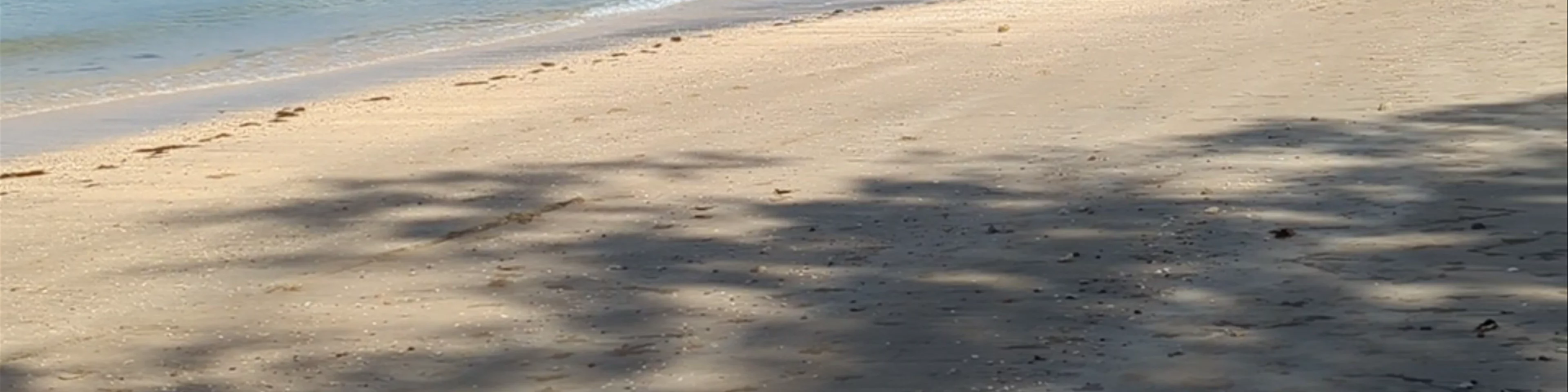 Golden Pearl Beach (Long Beach)
