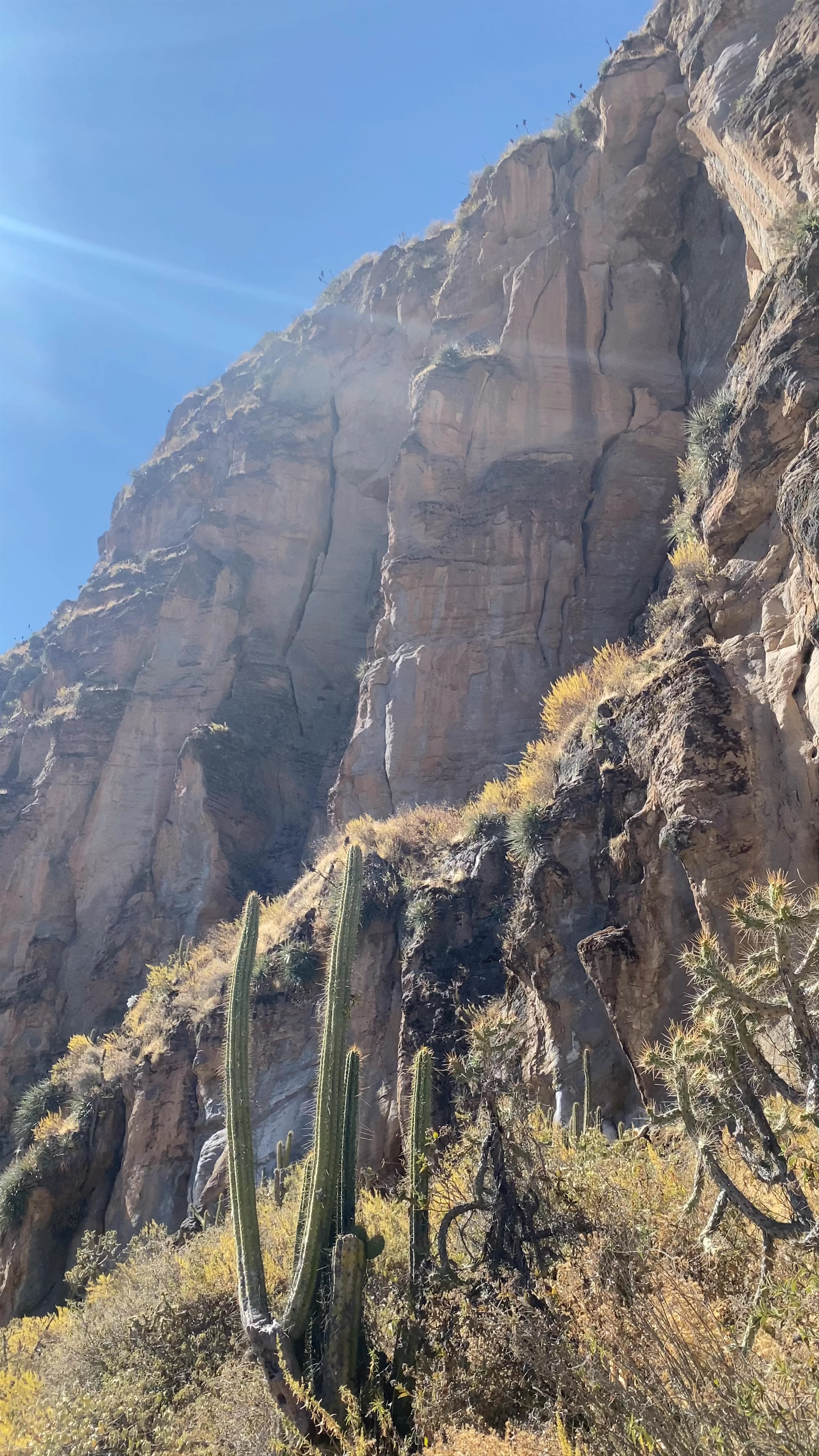 Colca Canyon