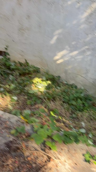 CBA Landscaping - Landscaping Near Me