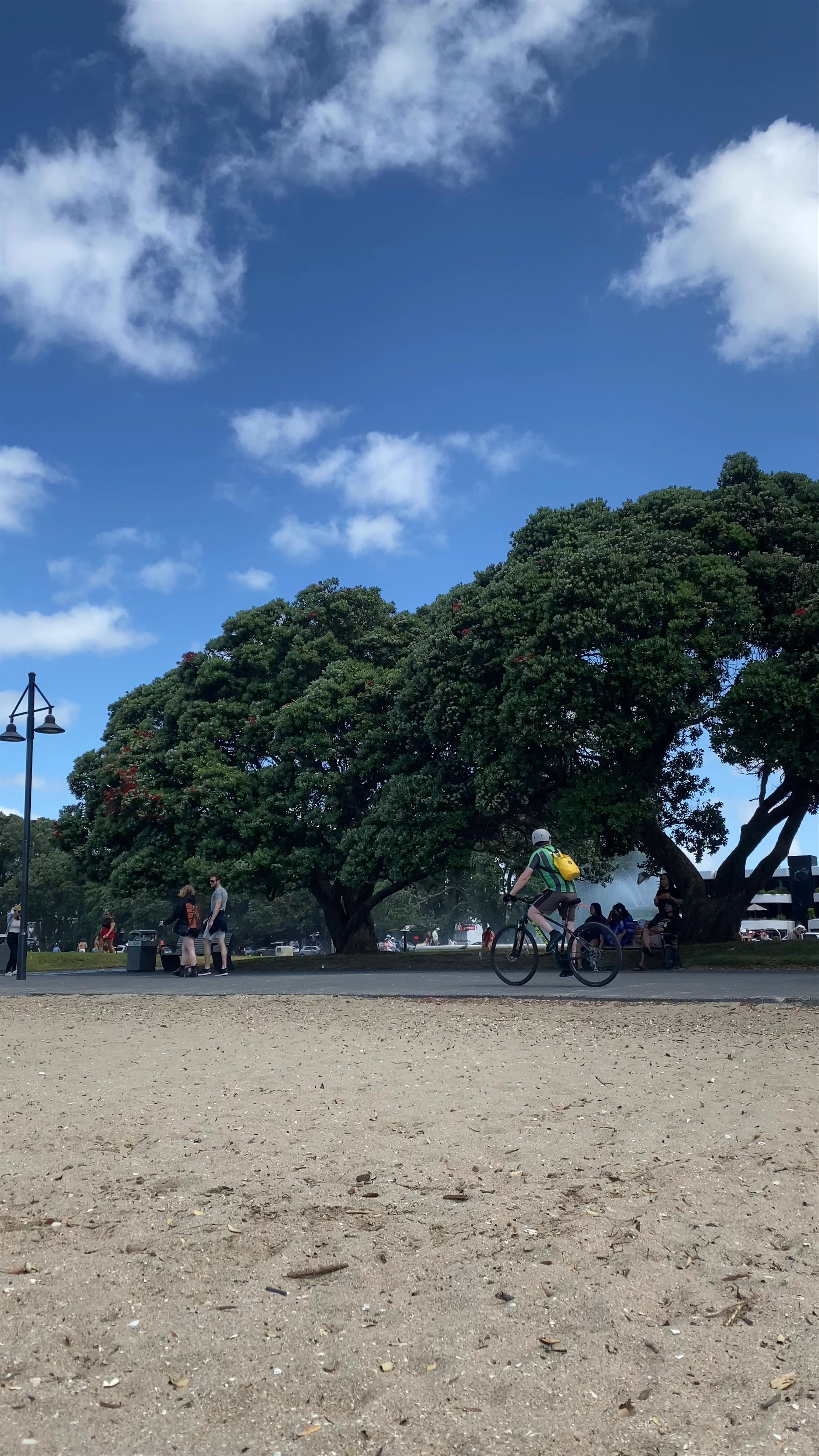 Mission Bay Beach