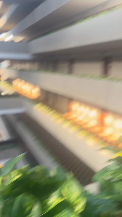 Hyatt Regency O'Hare Chicago - Leaving the hotel - Hotels Near Me - Rosemont, Illinois