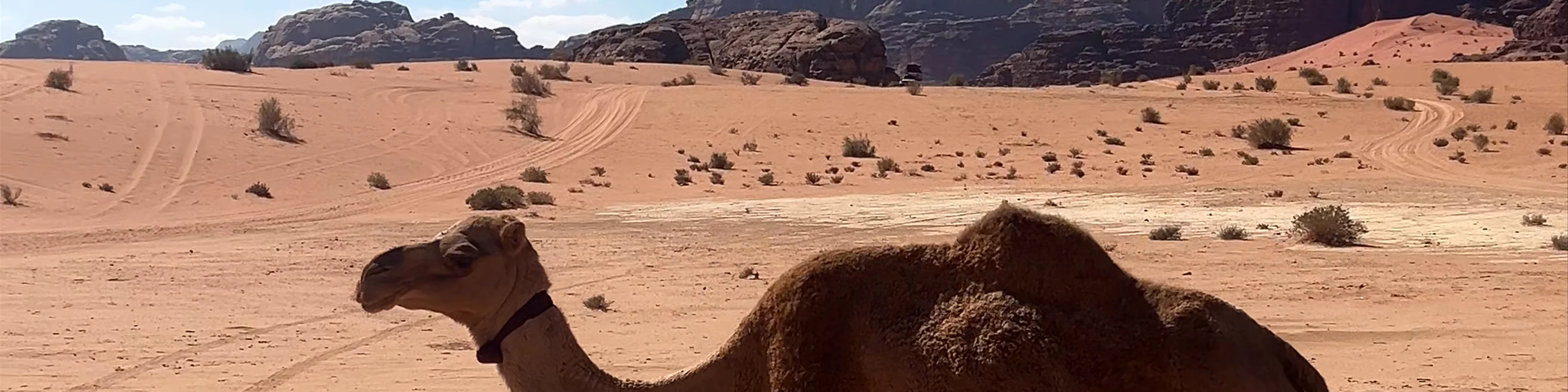 Wadi Rum Protected Area