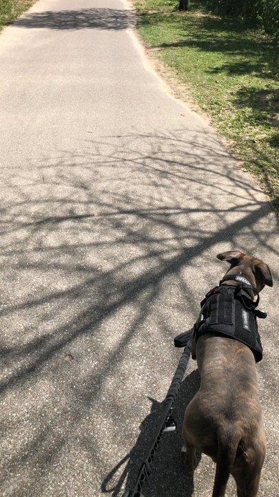 Terry Hershey Park - People come in go on the trails. - Parks Near Me - Houston, Texas
