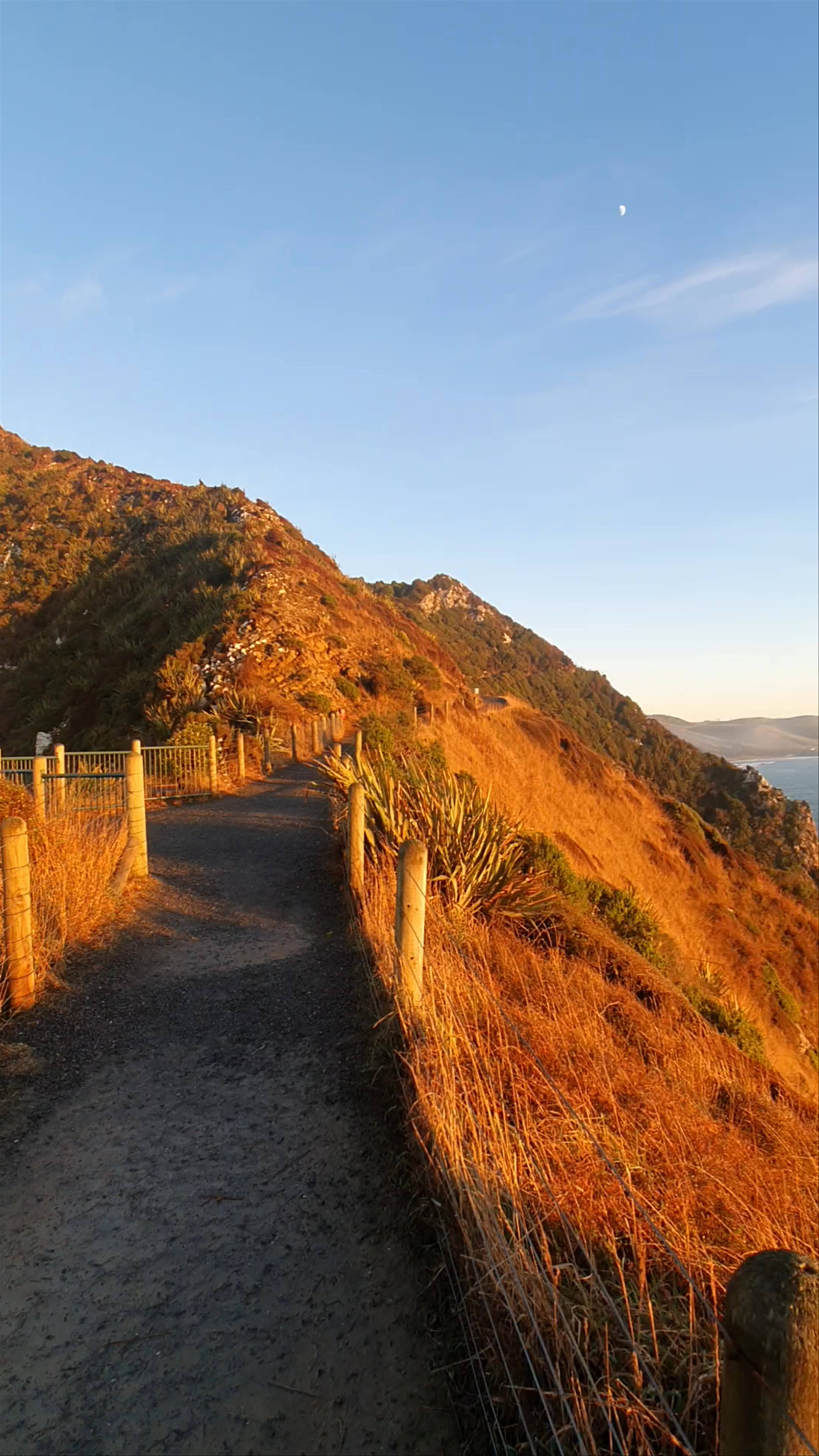 Nugget Point Lighthouse The Nuggets Road