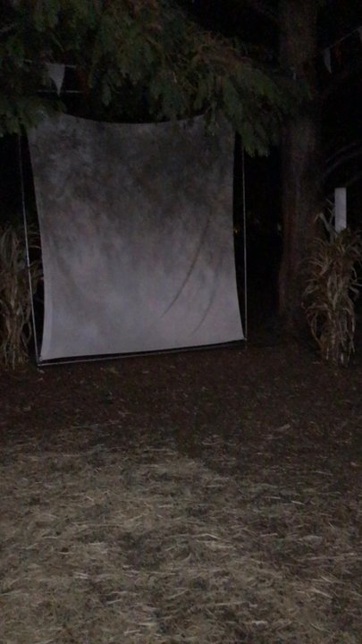 Shadelands Ranch Pumpkin Patch - They have a free movie on saturdays - Pumpkin Patches Near Me - Walnut Creek, California