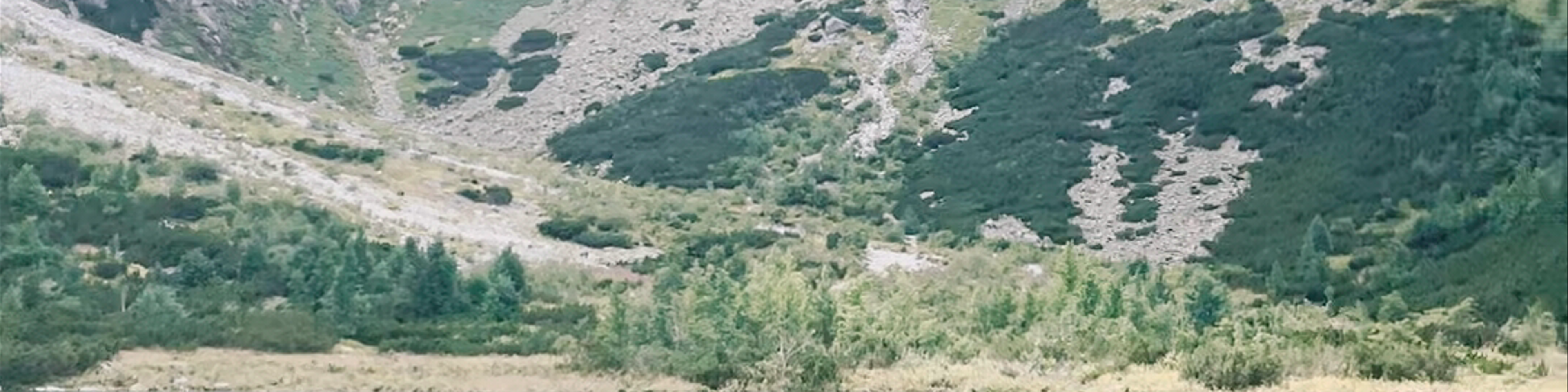 Slovakia