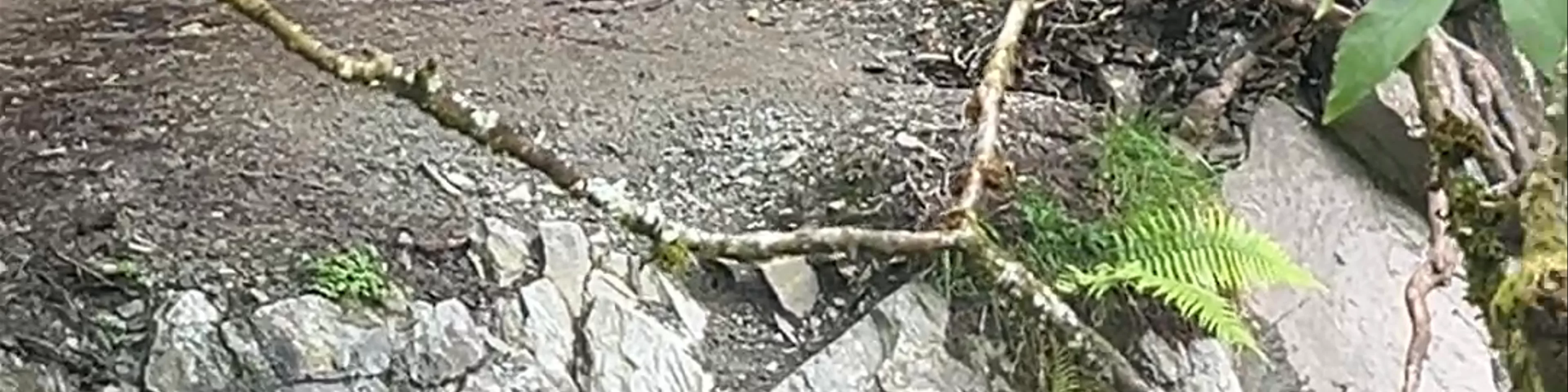Lake District National Park