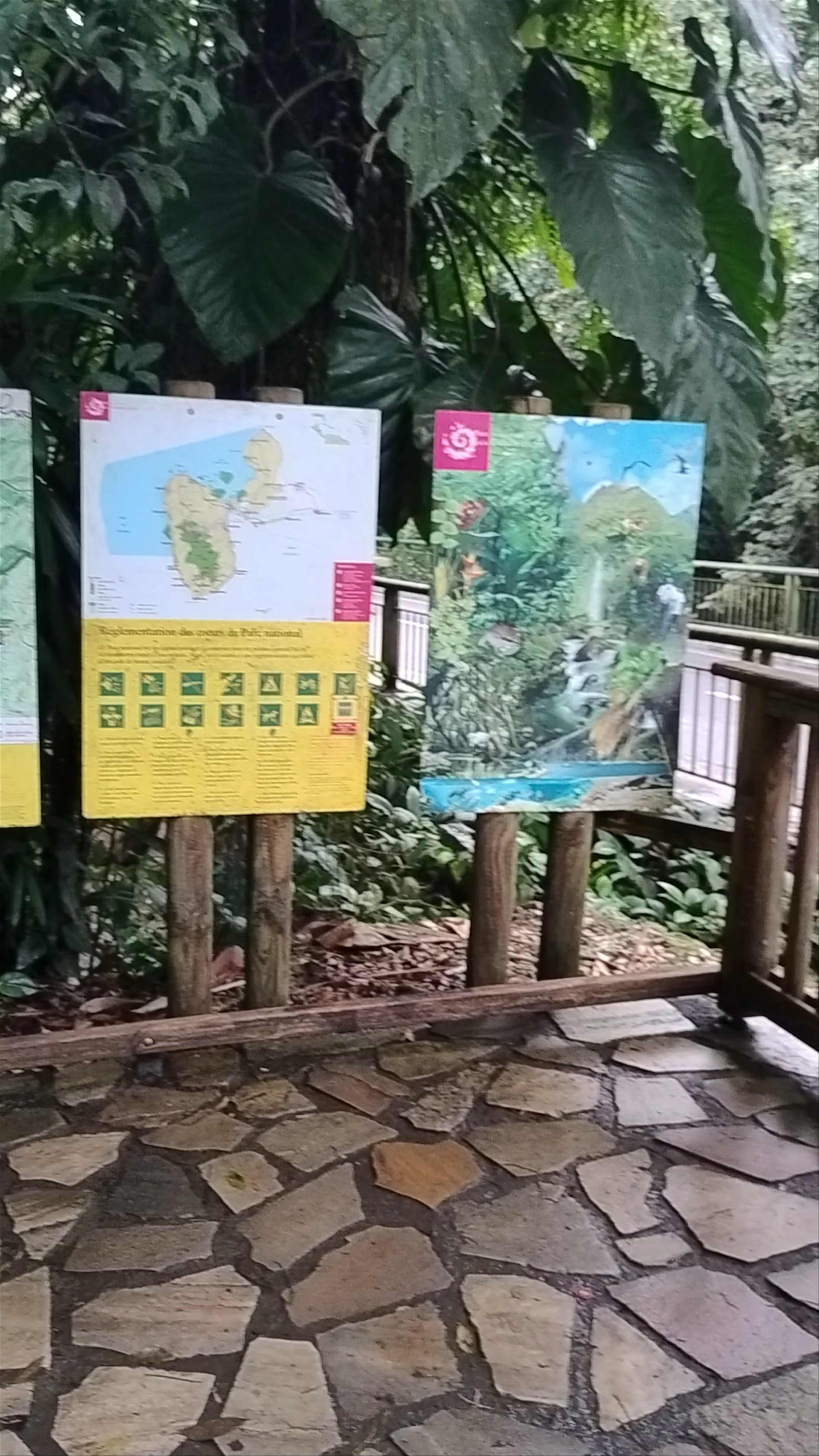 Cascade aux Ecrevisses