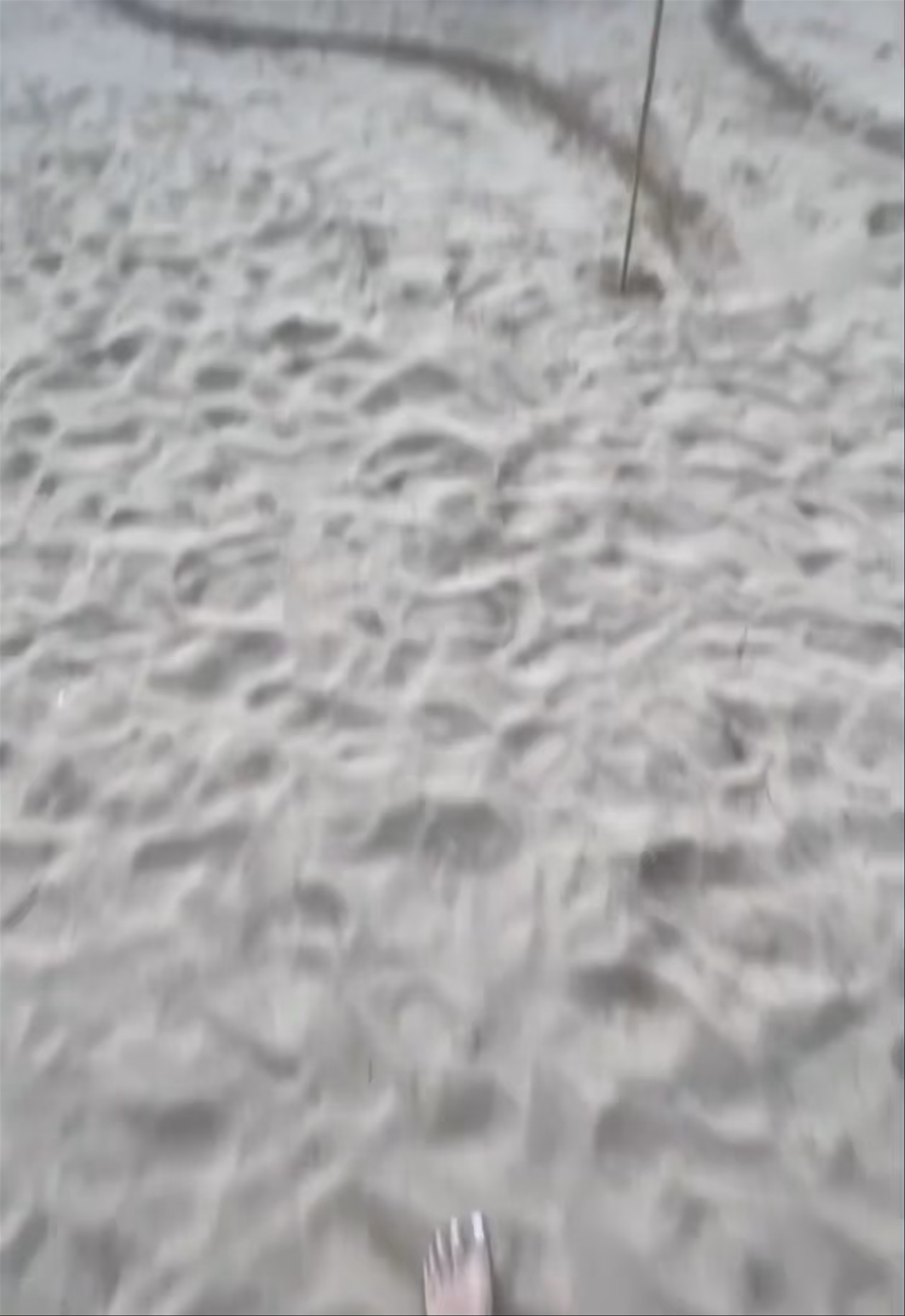 Zanzibar Beach & Restaurant