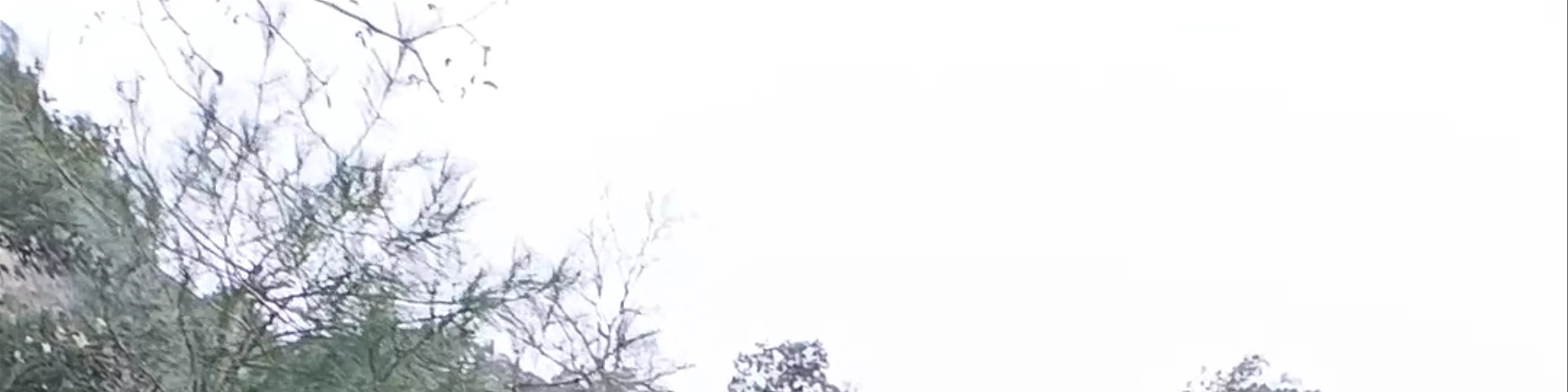 Parque Natural de Los Calares del Mundo y de la Sima