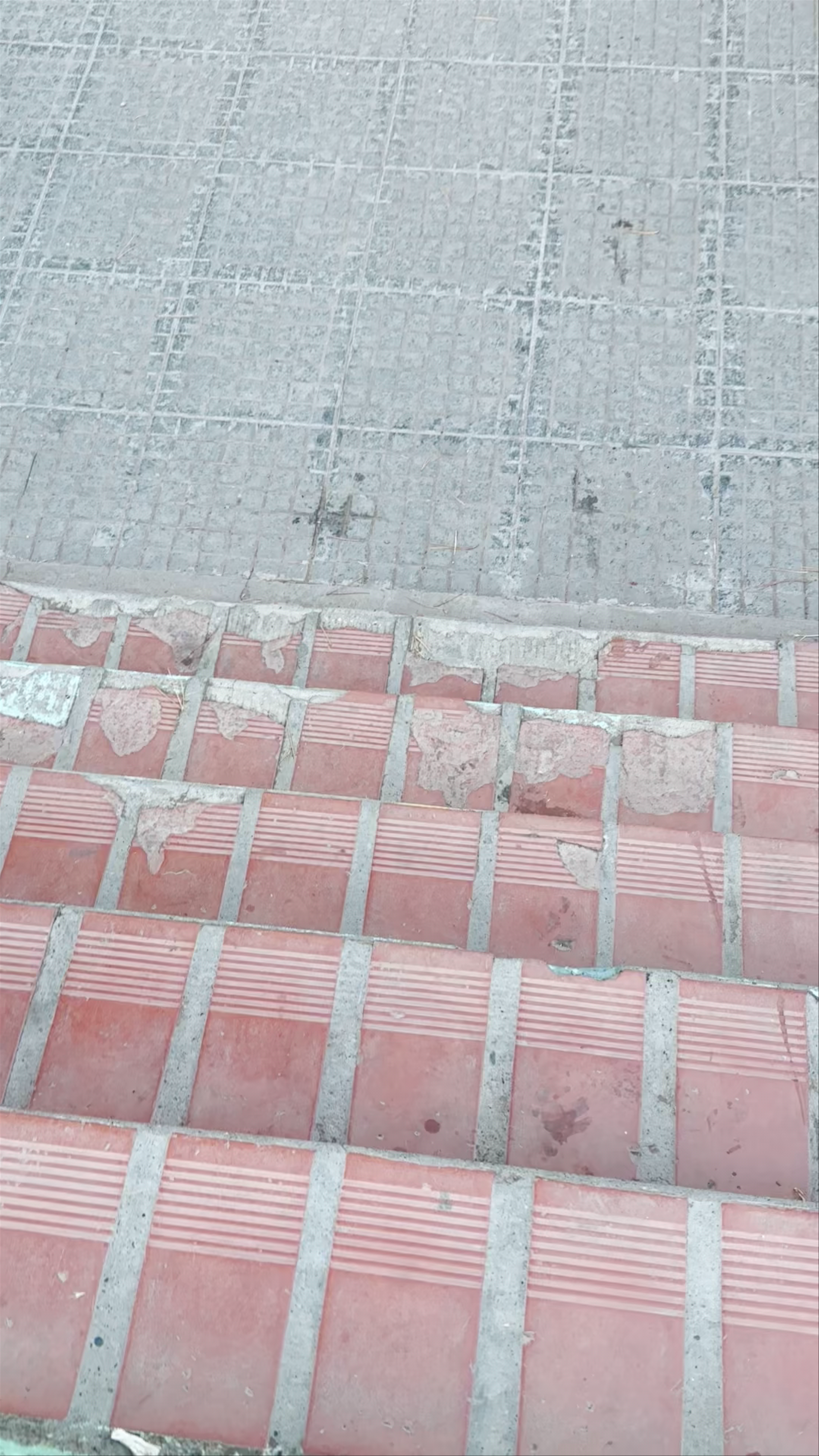 Paseo De Artesanos Jorge Echeverria