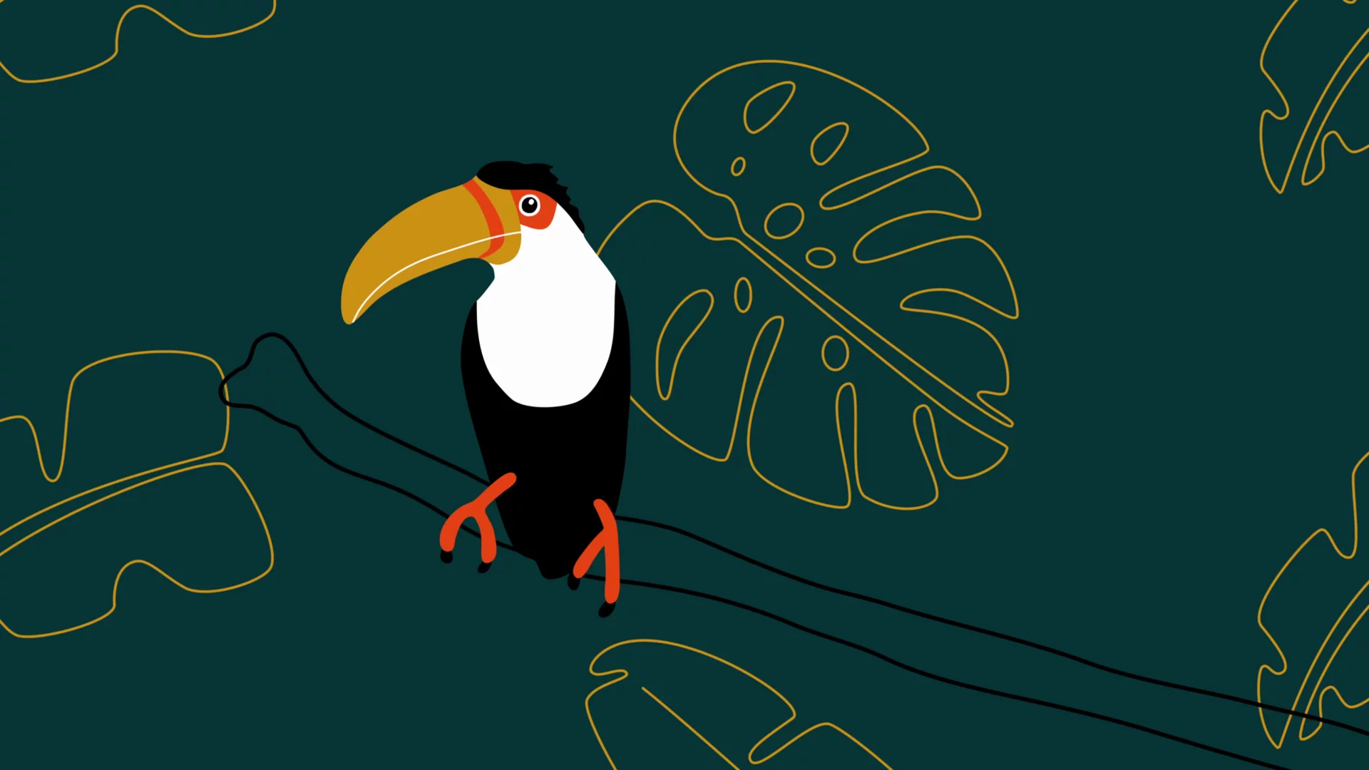 Wild Dreams — projet suivant