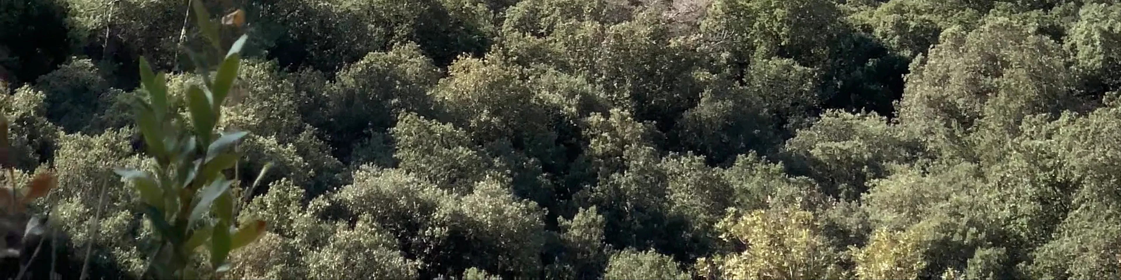 La Mola pel Camí dels Monjos