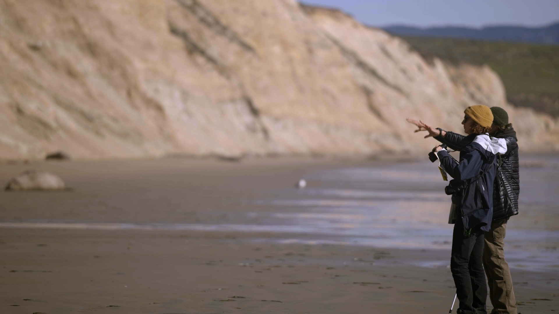 Marine ecologists discuss how women’s representation in their field has changed, crediting earlier pioneers such as Sarah Allen. On a coastal beach, women observe and photograph elephant seals beneath steep cliffs.