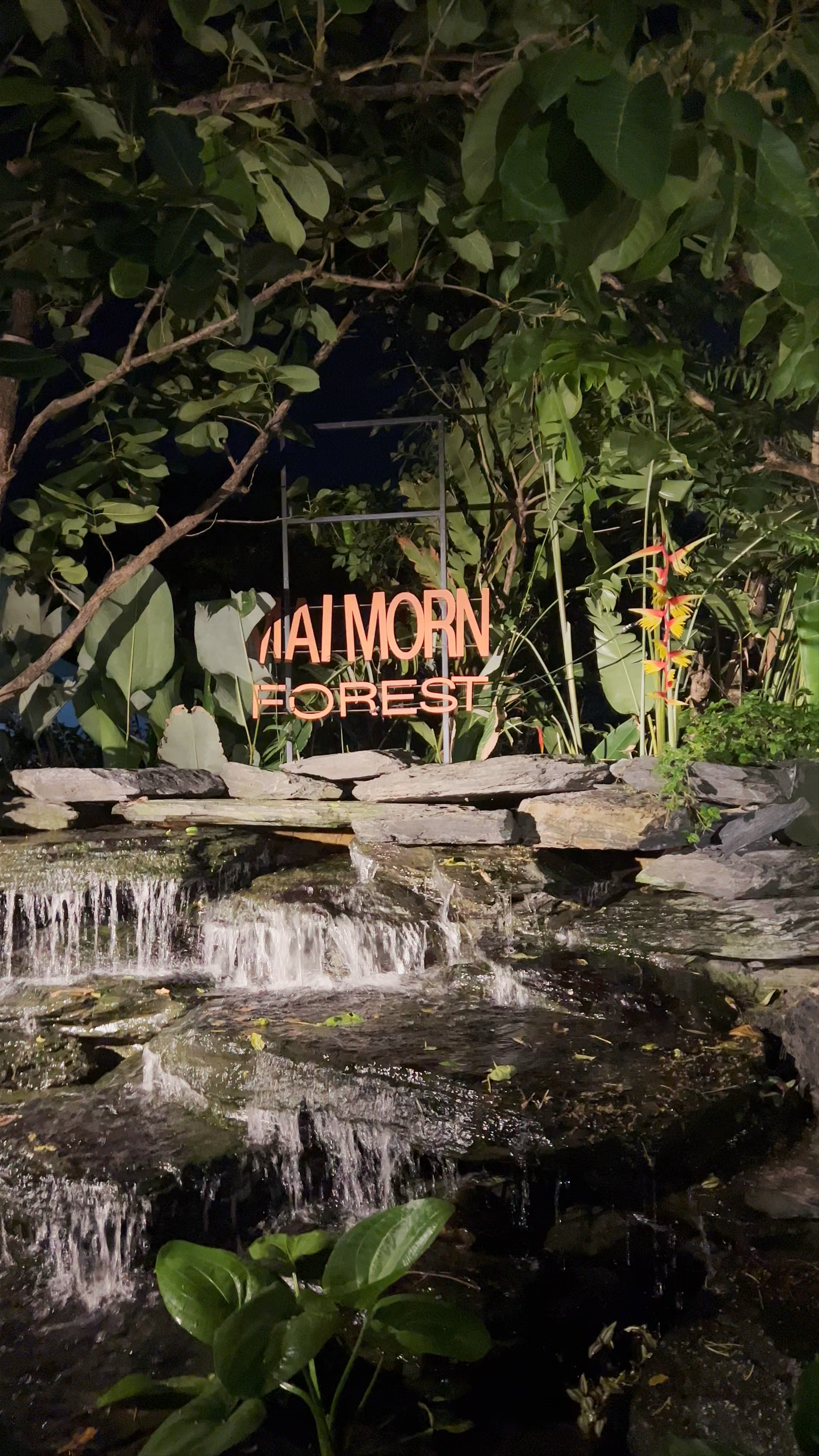 Maimorn Forest