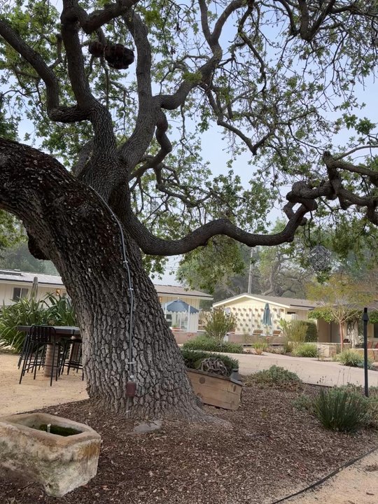 Hotel Ynez - Hotels Near Me - Solvang, California