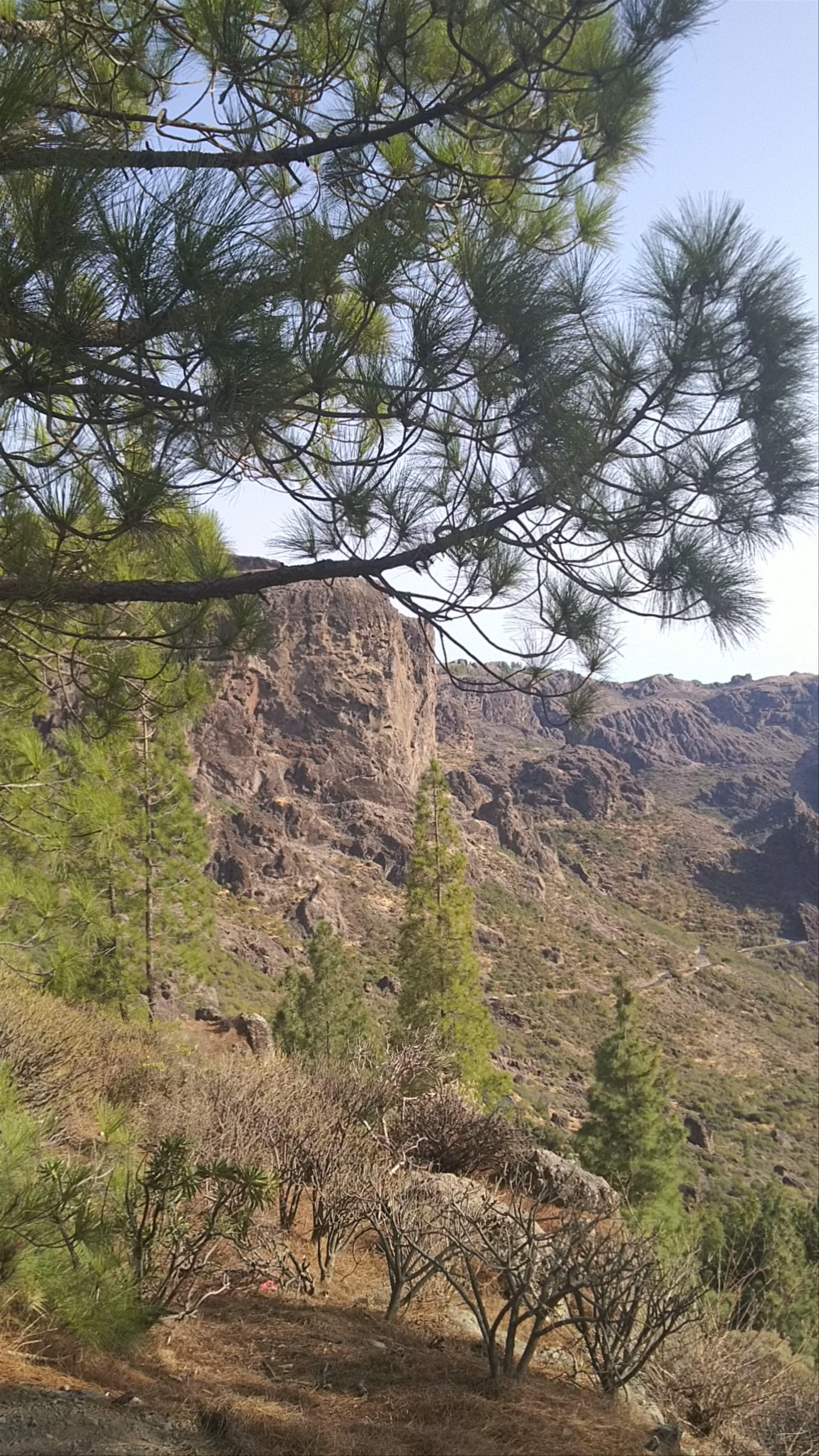 Roque Nublo Trailhead