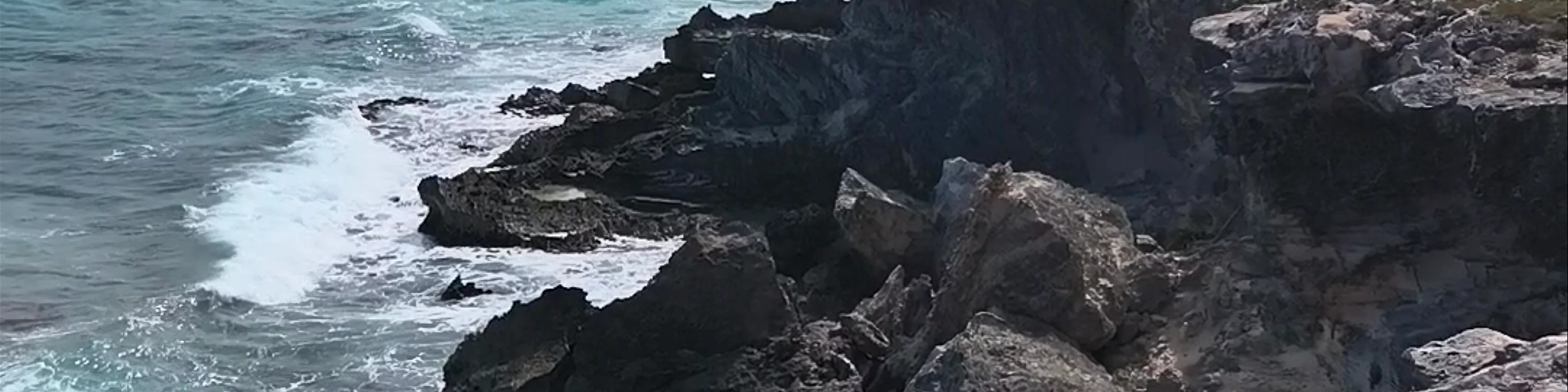 Punta Sur