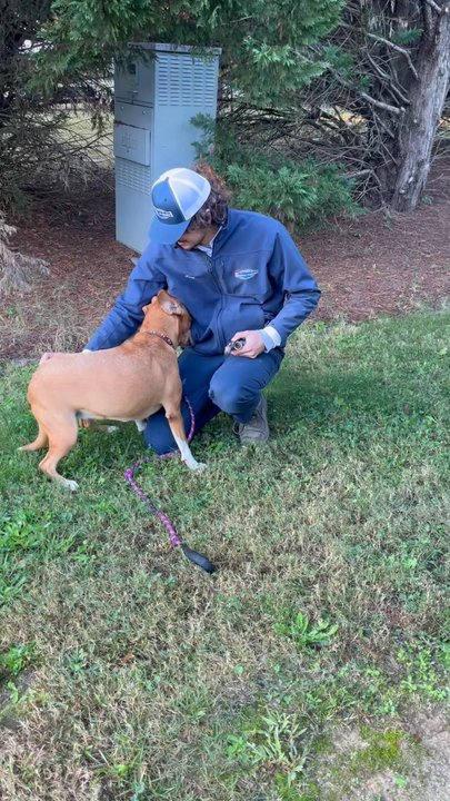 Morris-Jenkins - Noelle's Best Friend - Heating & Air Conditioning/HVAC Near Me - Charlotte, North Carolina