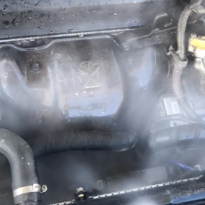 Peoples Mobile Detail - Engine Steam Cleaning - Auto Detailing Near Me