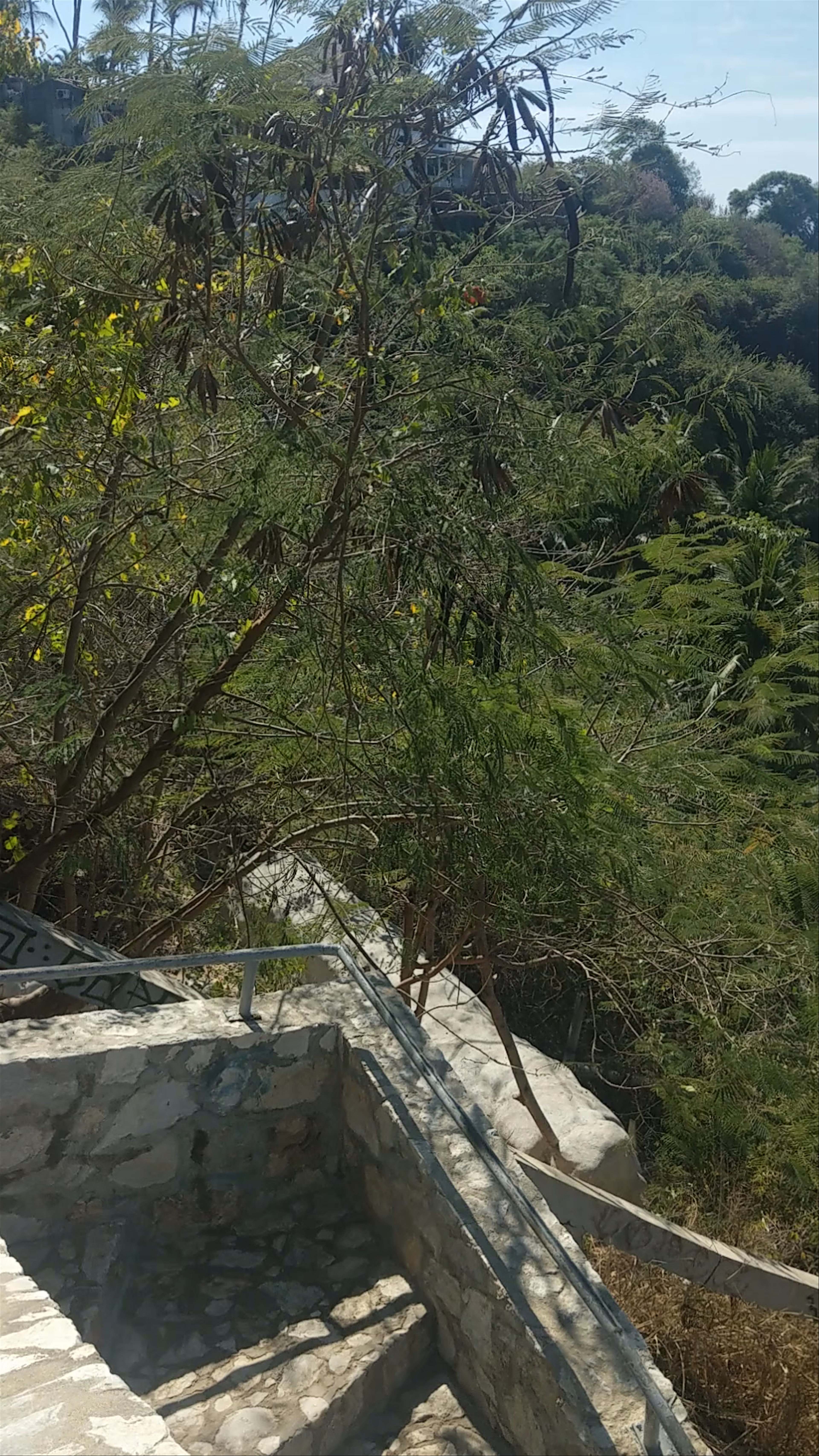 Playa Carrizalillo