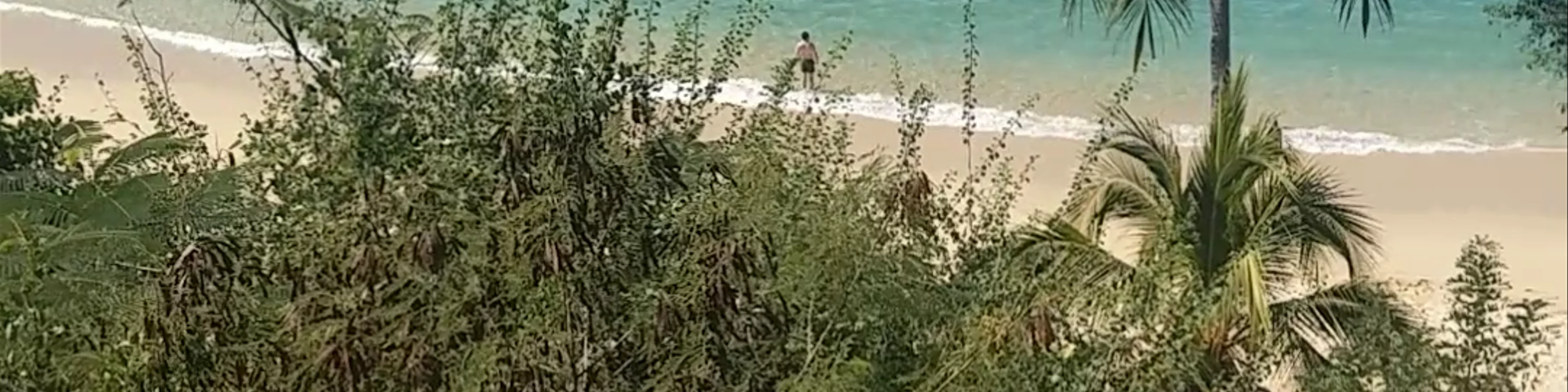 Playa Carrizalillo