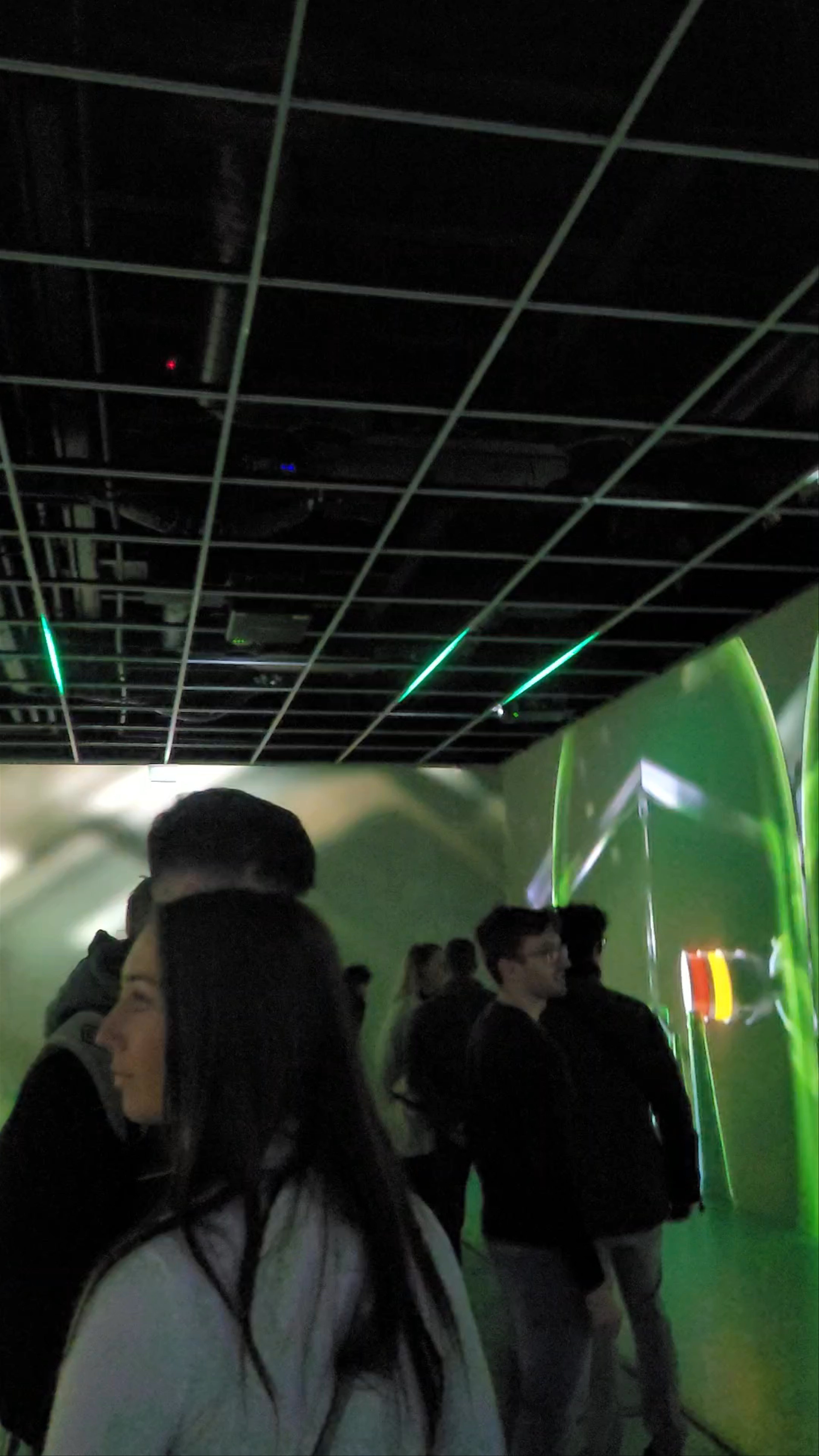 Heineken Experience