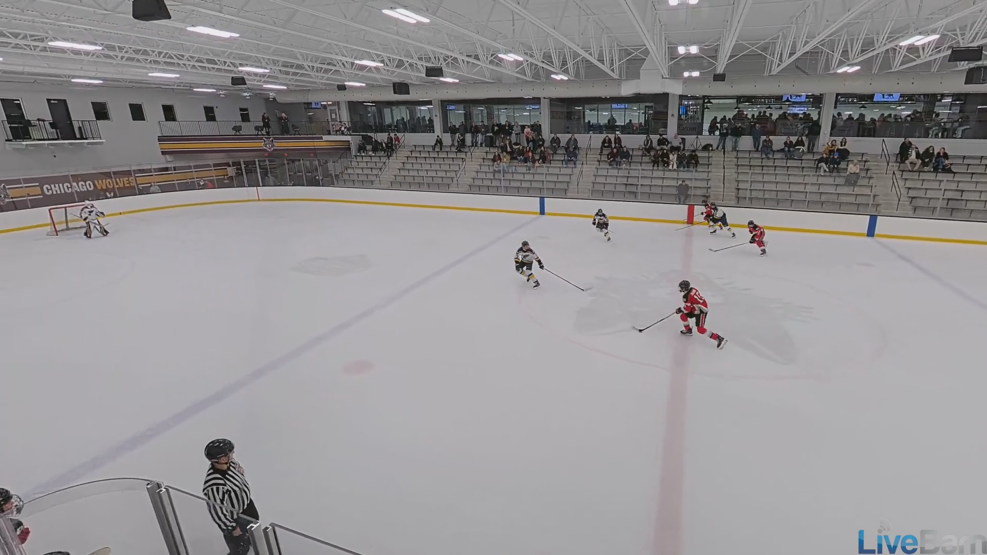 Bryce Falconi: Highlight Reel of Impressive Assists with Chicago Reapers