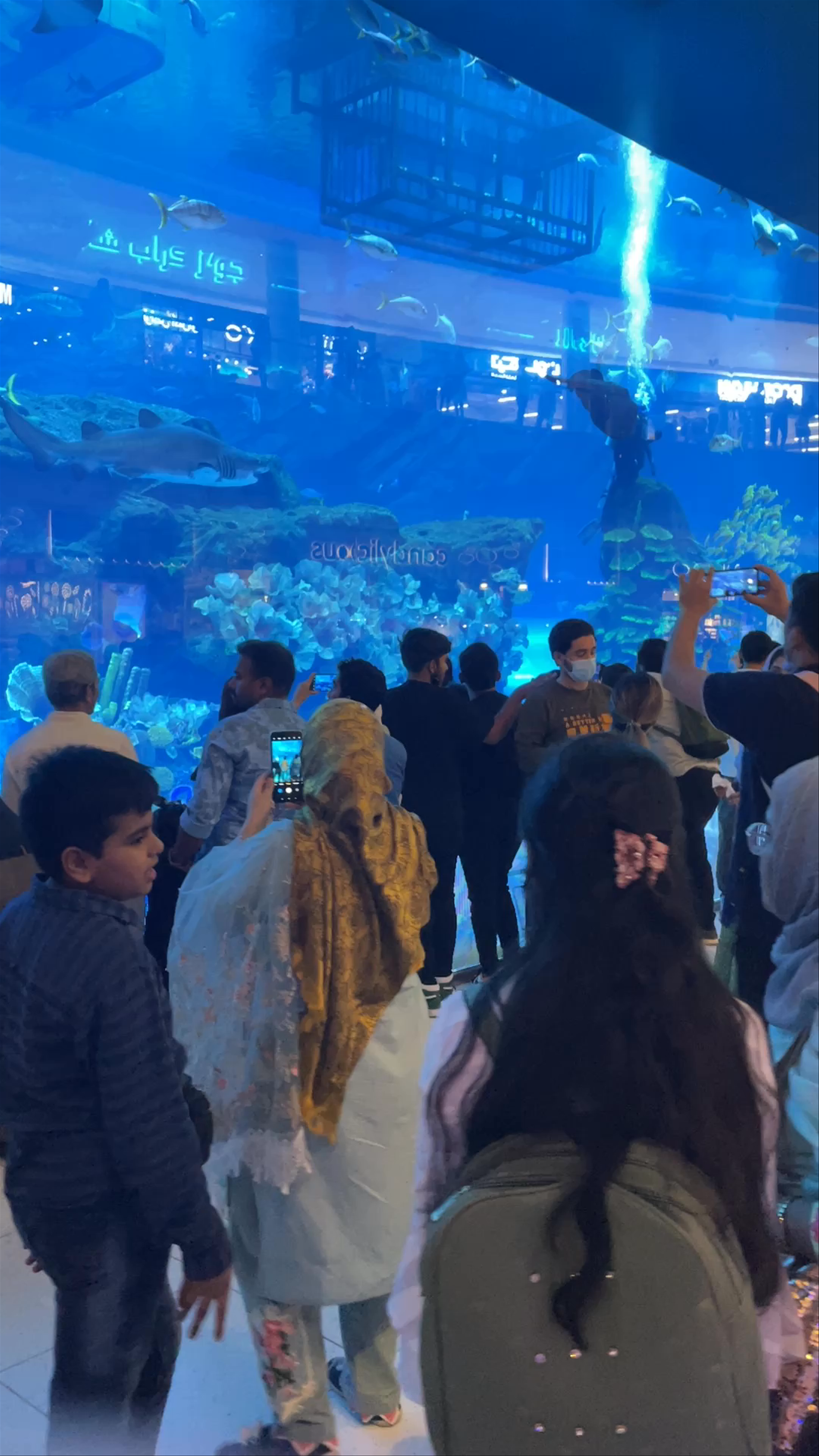 Dubai Aquarium & Underwater Zoo - شارع المركز المالي، - Dubai - United Arab Emirates