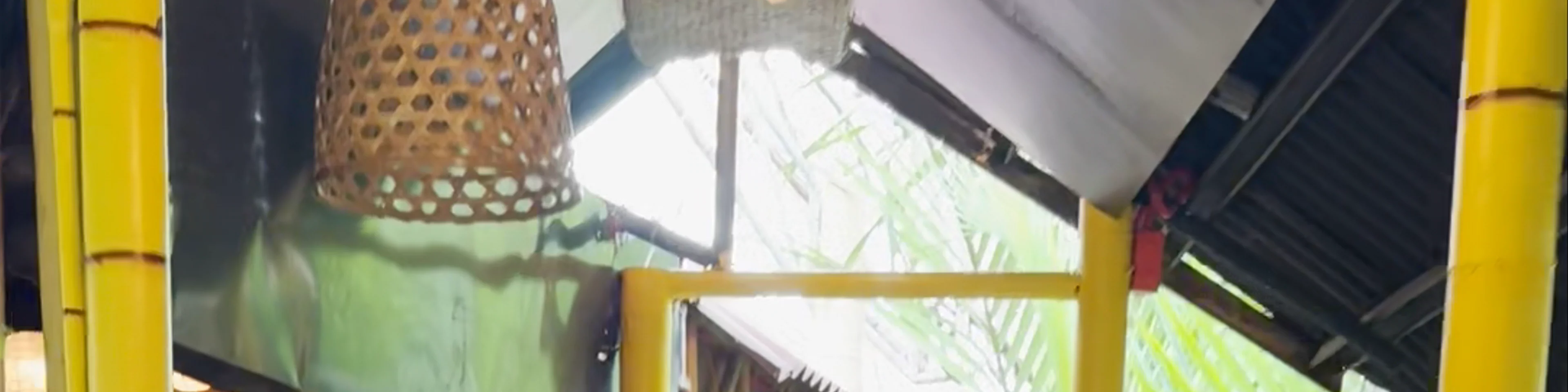 Loboc River Cruise
