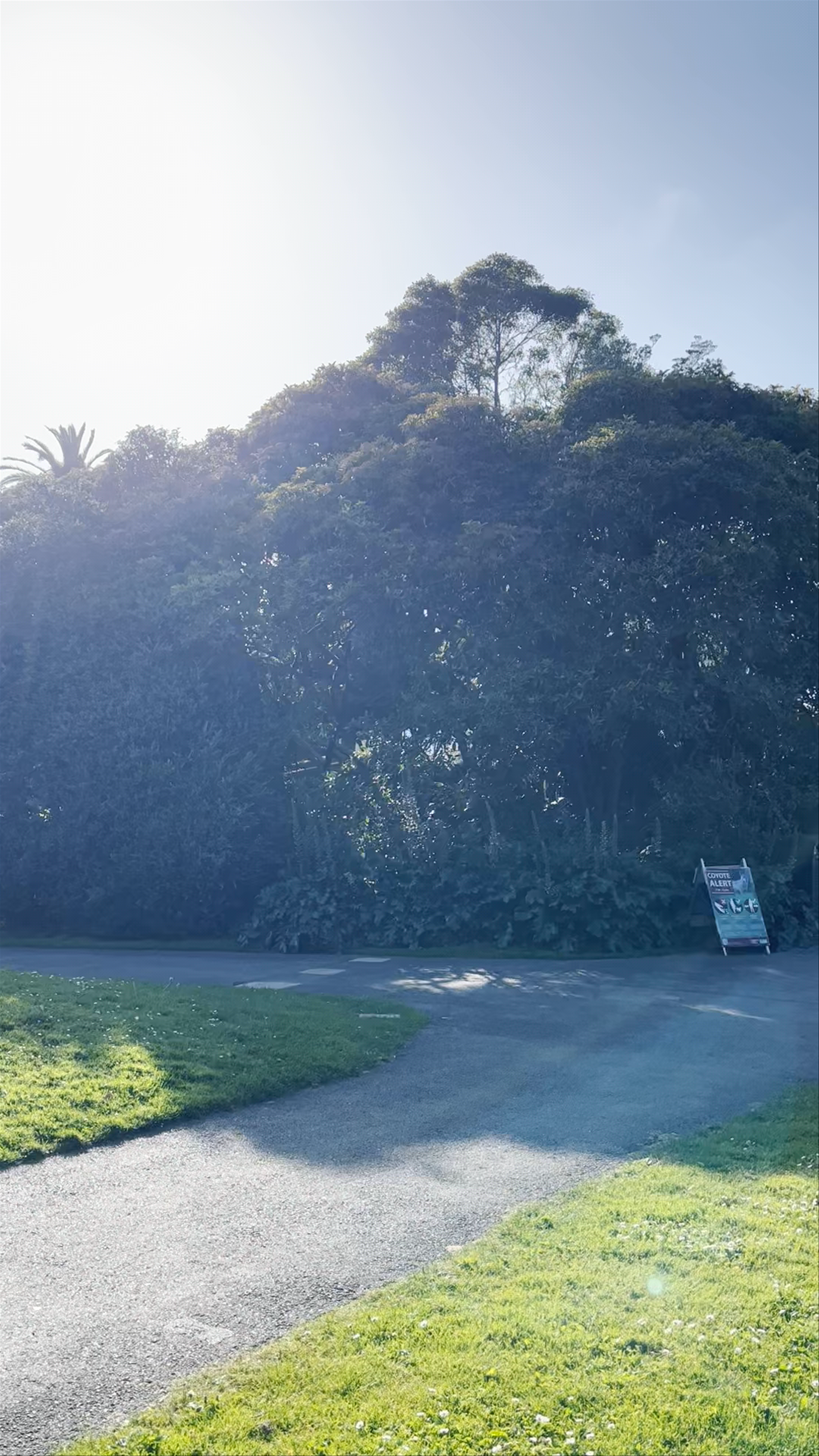 Golden Gate Park