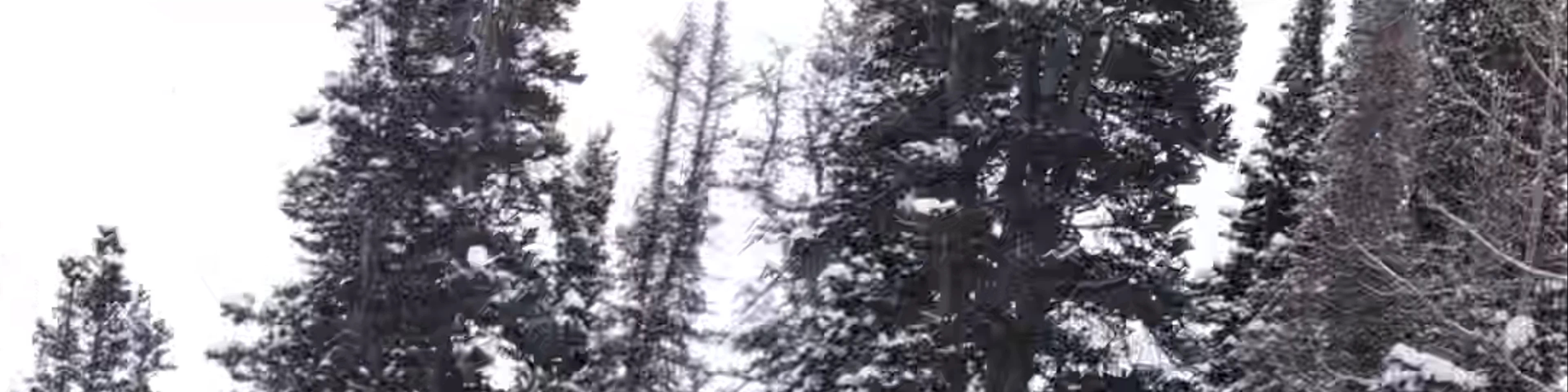 Park City Mountain