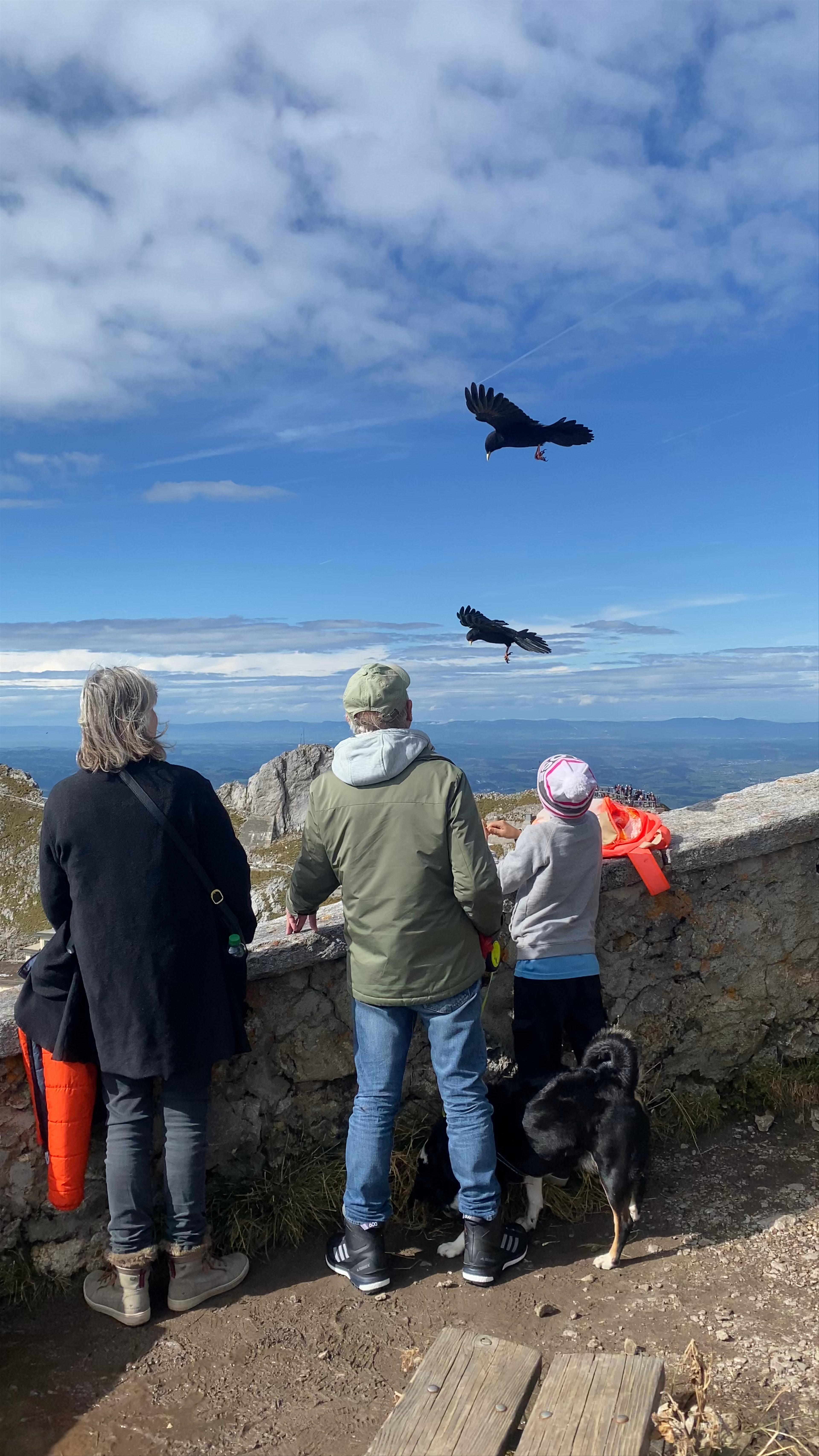 Gleitschirm Startplatz Pilatus Kulm: Spectacular Paragliding Launch in Swiss Alps