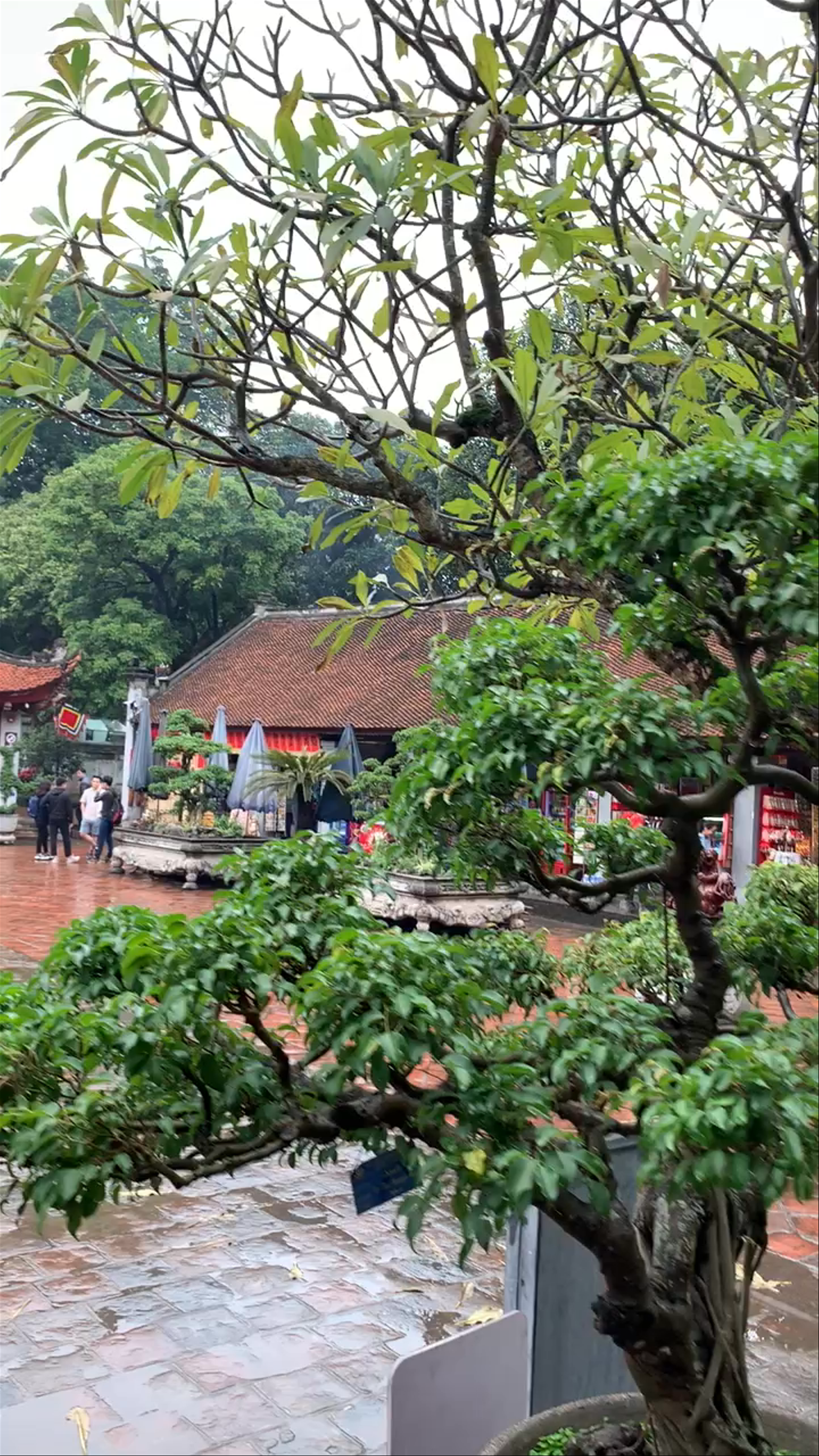 Chợ Hà Nội - Hanoi Market