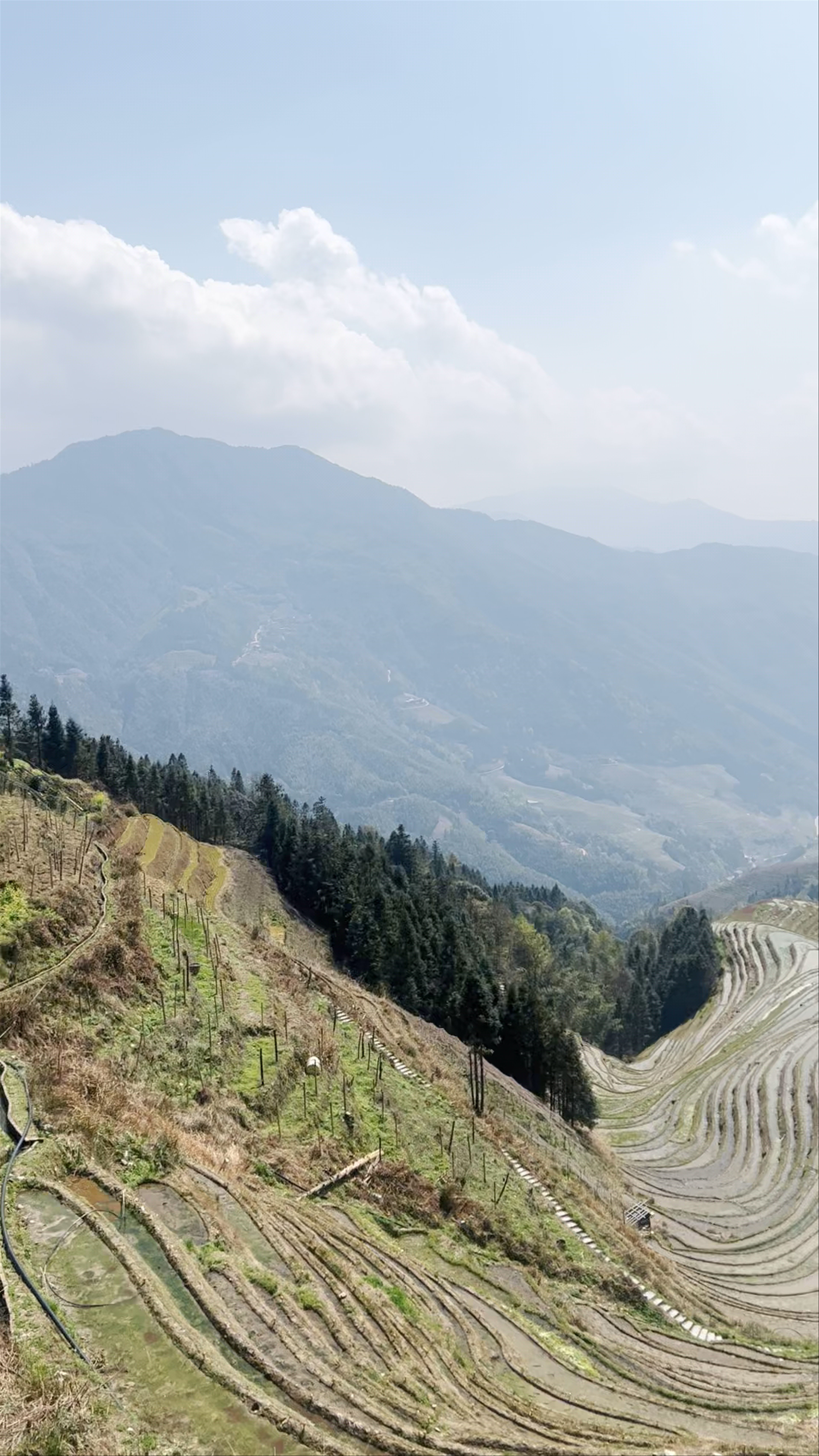Longji Rice Terrace Scenic Spot