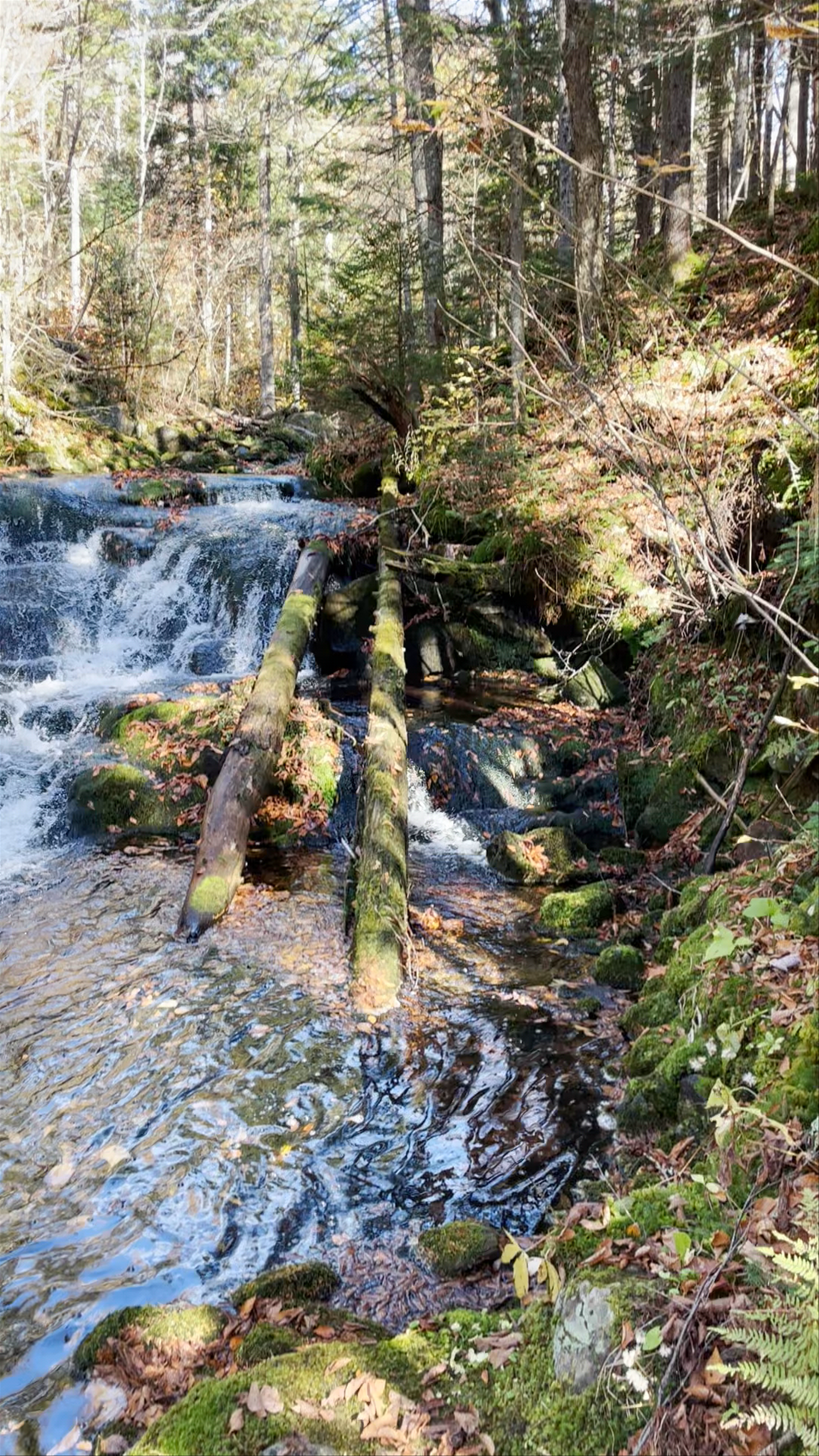 Parc national du Mont-Mégantic (provincial park)
