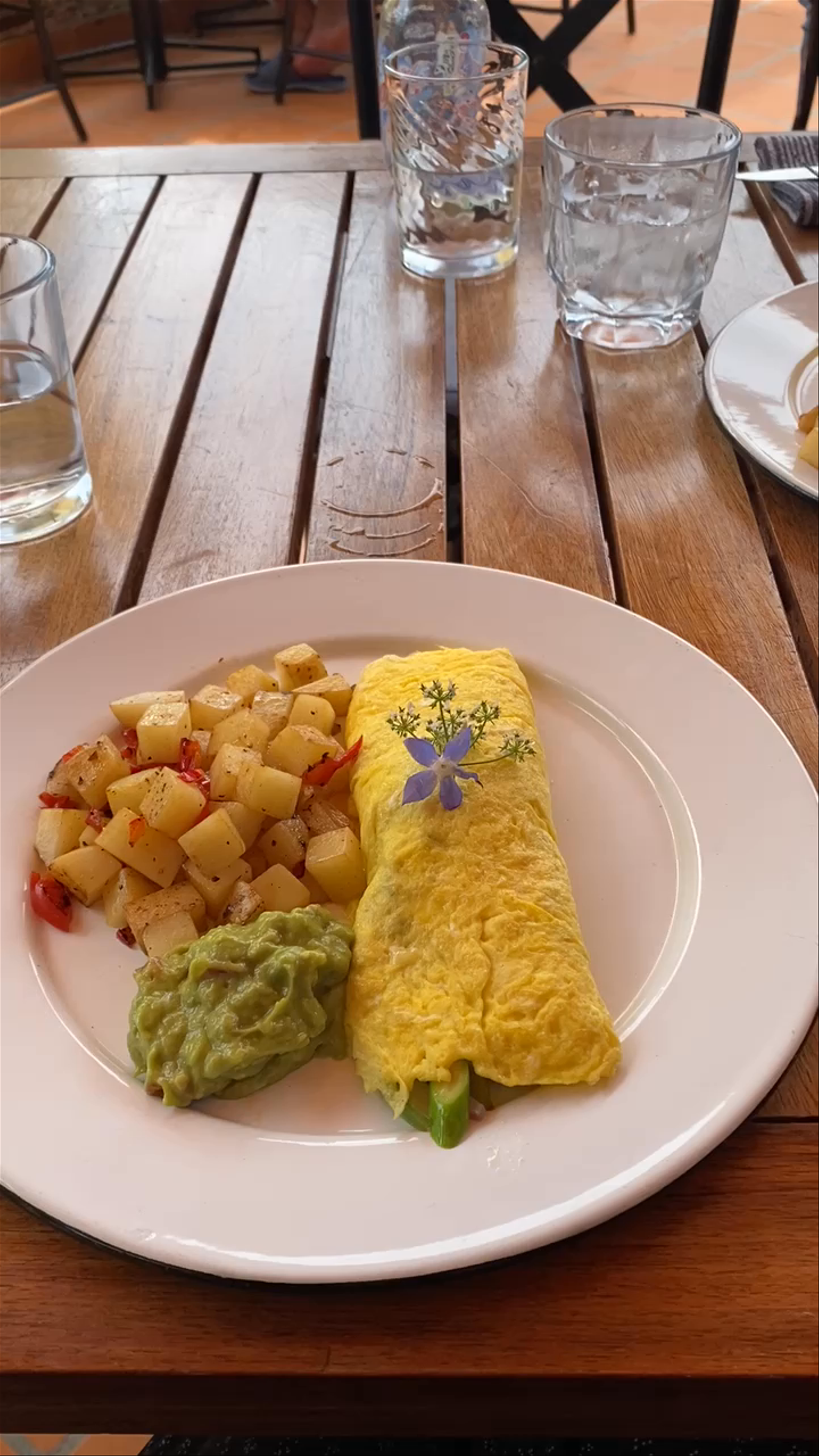 Relaxing Brunch with Scenic Views in Oaxaca de Juárez