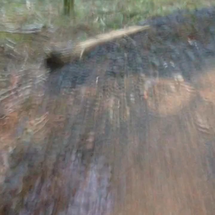 Disciples of Dirt - Turn then a jump (sad these videos are short) - Mountain Biking Near Me - Eugene, Oregon