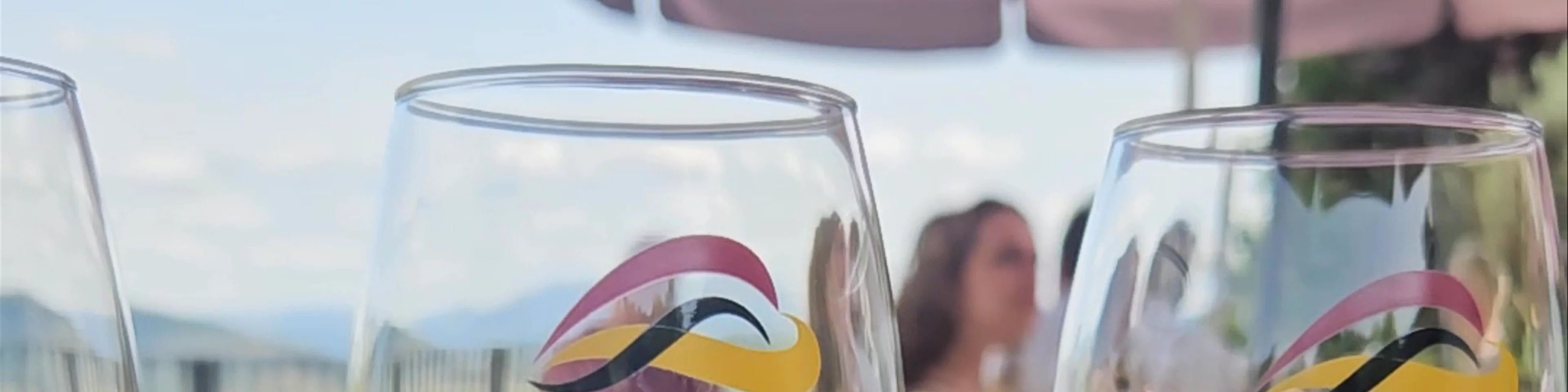 Quinta do Jalloto - Family vineyards