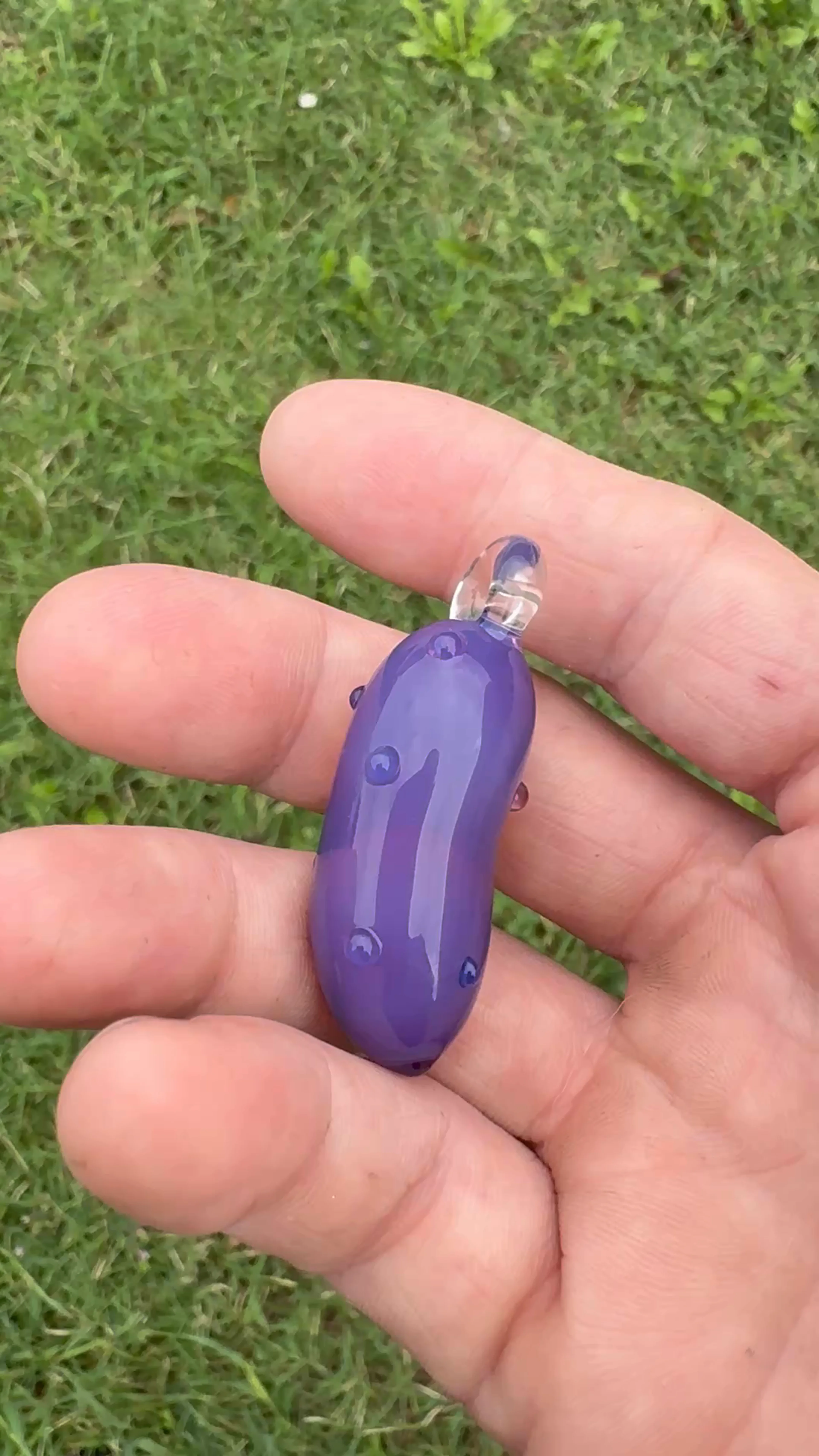 Preview pic of Ben focus pendy