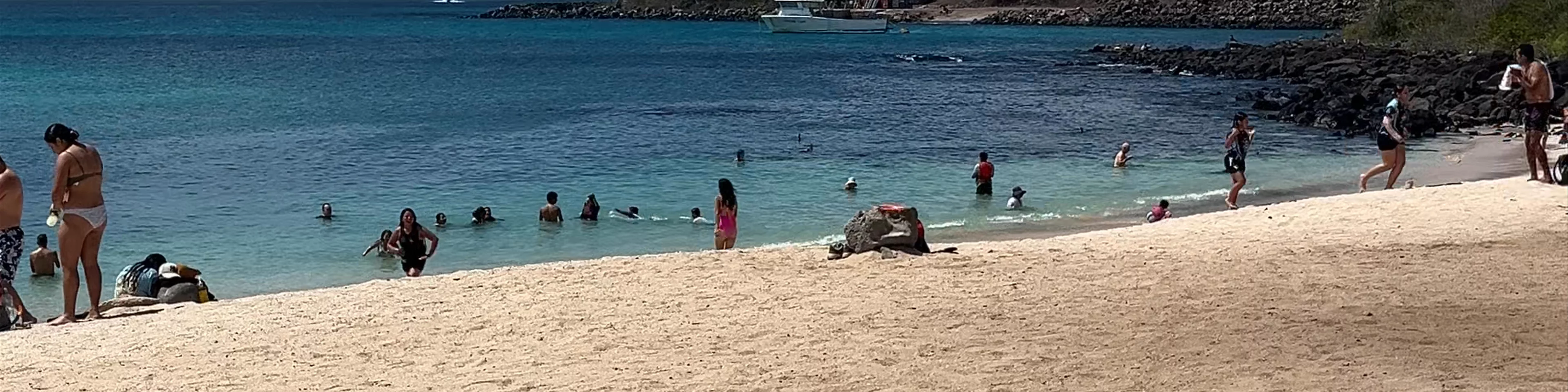 Playa Mann