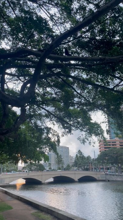 Ala Wai Promenade - New resident - Parks Near Me - Honolulu, Hawaii