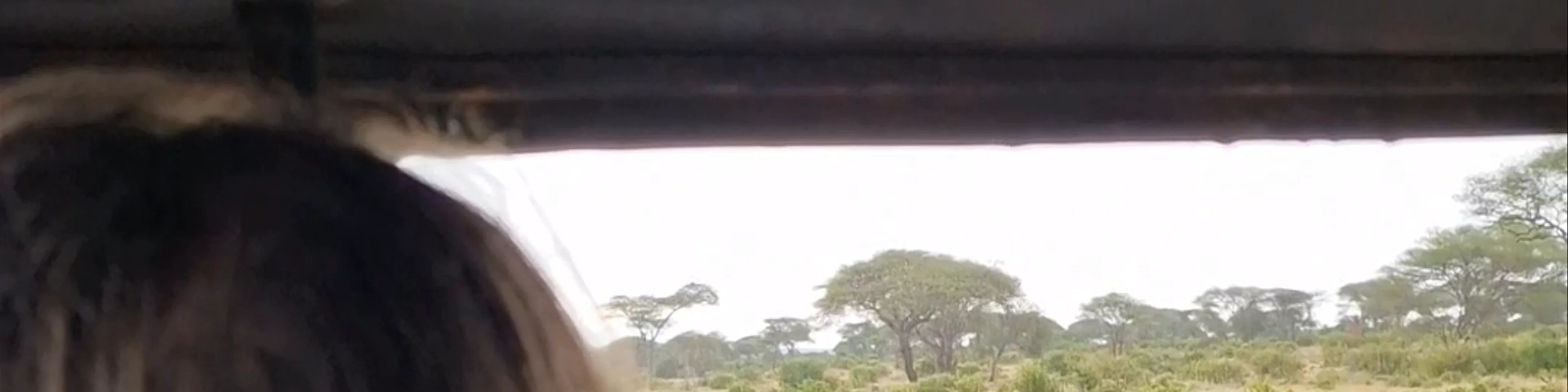 Daketi Safari