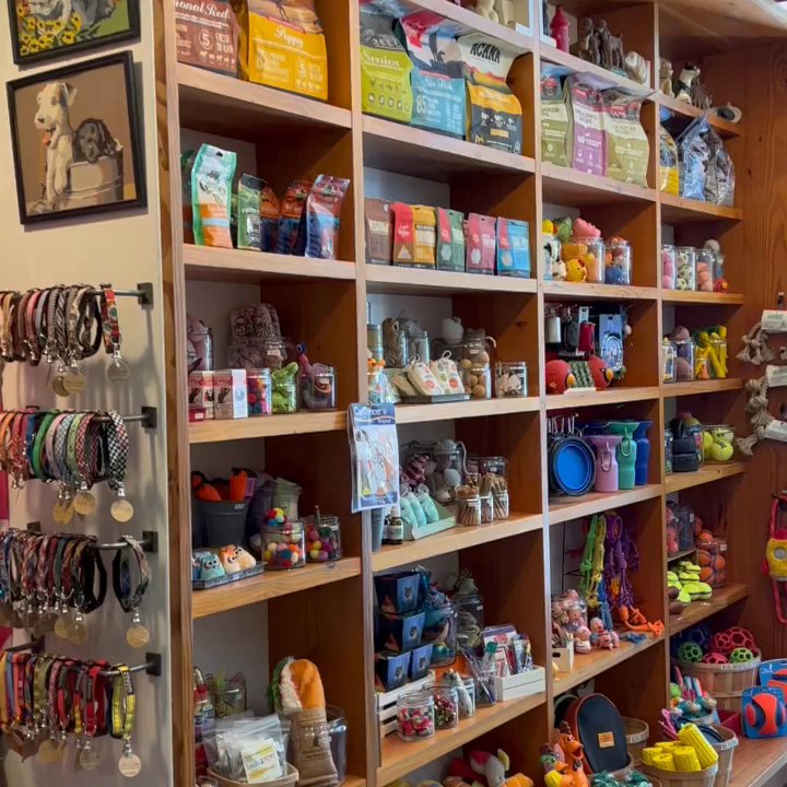 George - Inside the shop. Colorful shelves filled with toys, collars and leashes as well as a wide variety of different sticks, chews and treats. - Pet Stores Near Me - San Francisco, California