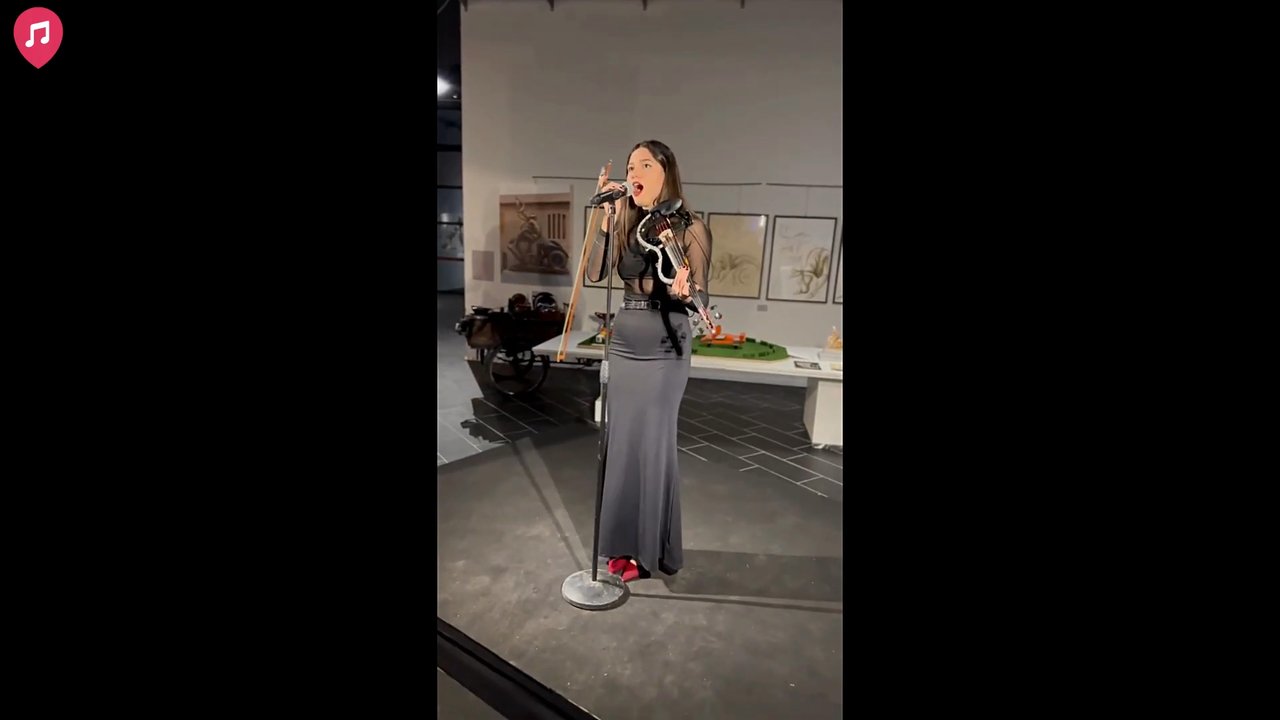 The Ravenna Violinist - Party Showreel 2026 - video 3
