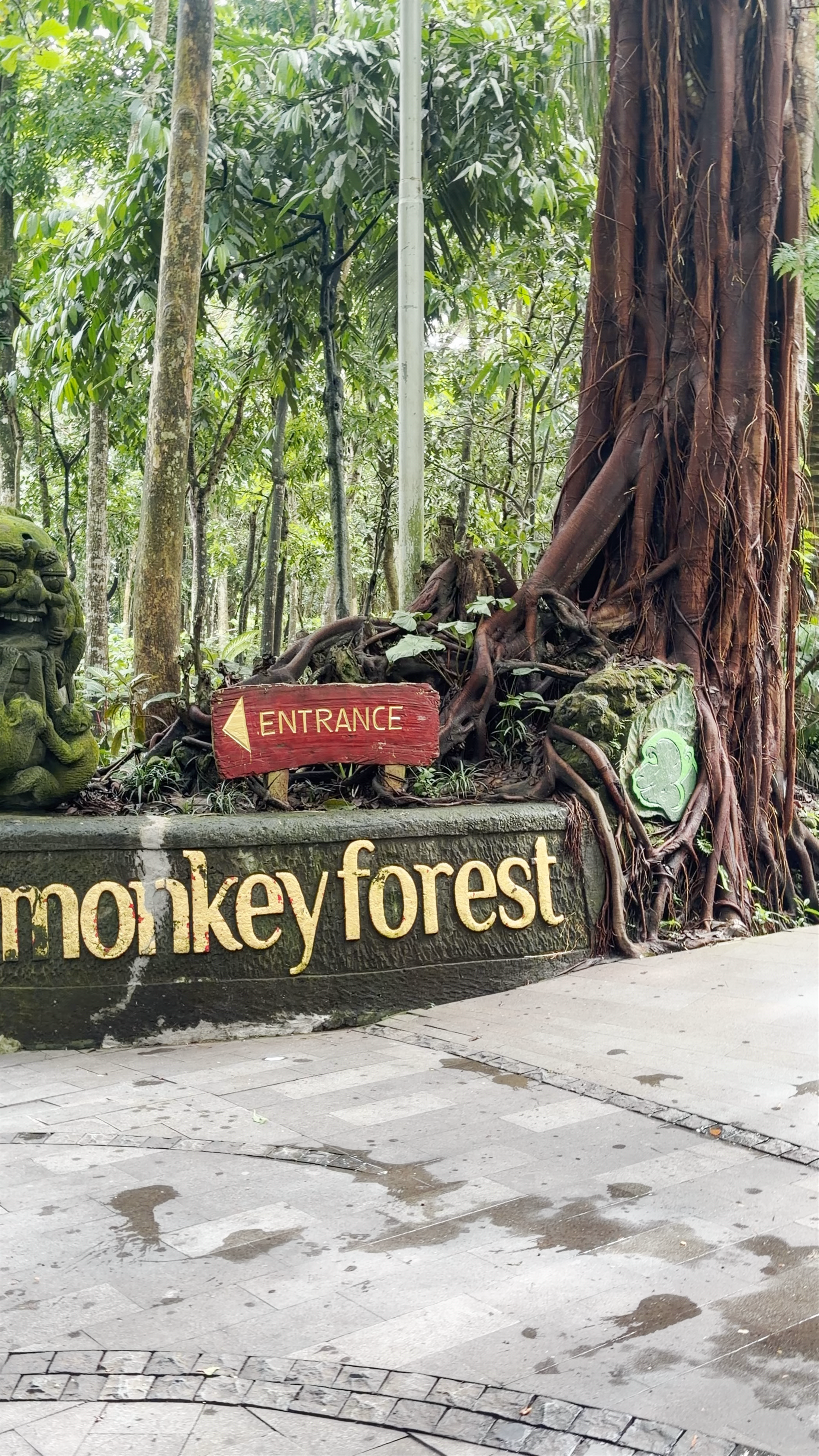 Sacred Monkey Forest Sanctuary