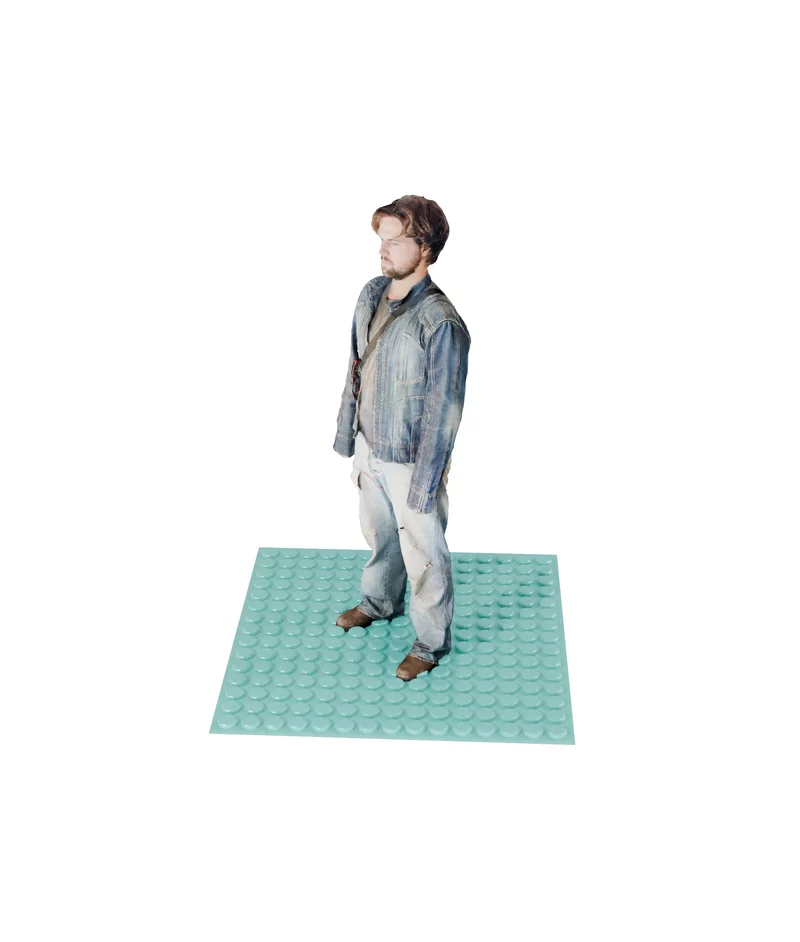 Goose (Small)