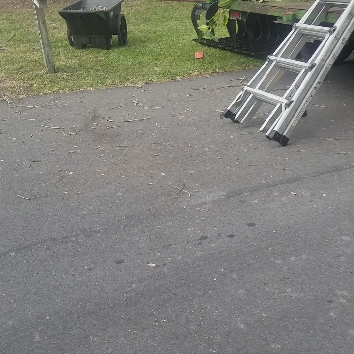 Anthonys Tree Trimming - Tree removal service in vero beach. Fl - Tree Services Near Me - Vero Beach, Florida